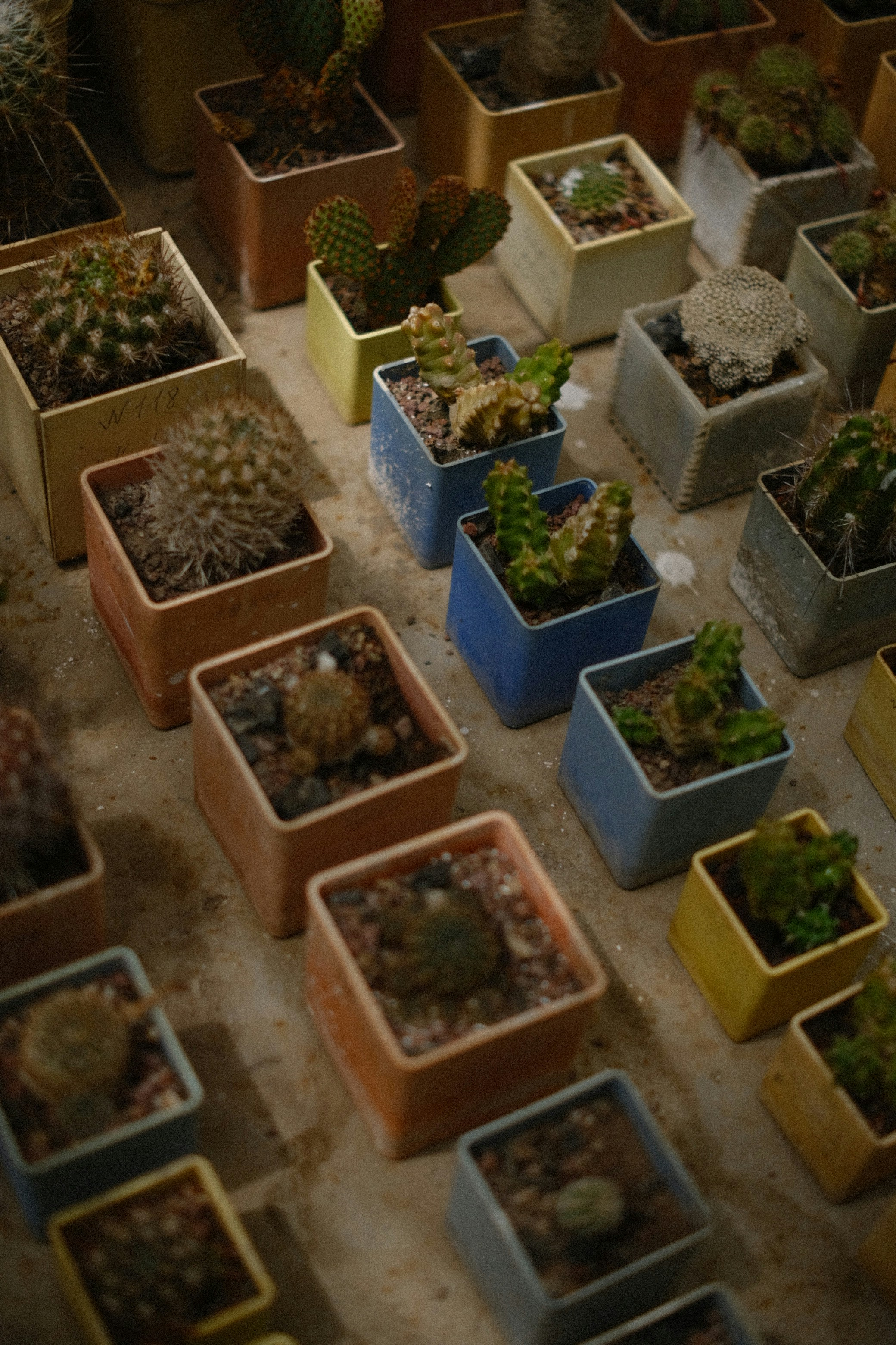 Micro‑Garden Edges: Tactical Strategies for Small Urban Front Yards in 2026