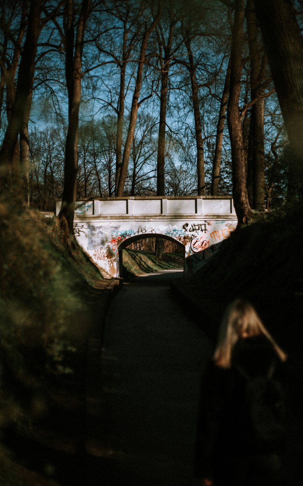 a bridge with graffiti on it and trees around it