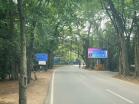 A curved road winds through a lush green forest, flanked by tall trees with thick branches and leaves. Signboards are visible at intervals along the roadside, with one displaying information electronically. A person rides a bicycle down the road, adding a sense of motion to the tranquil scene.