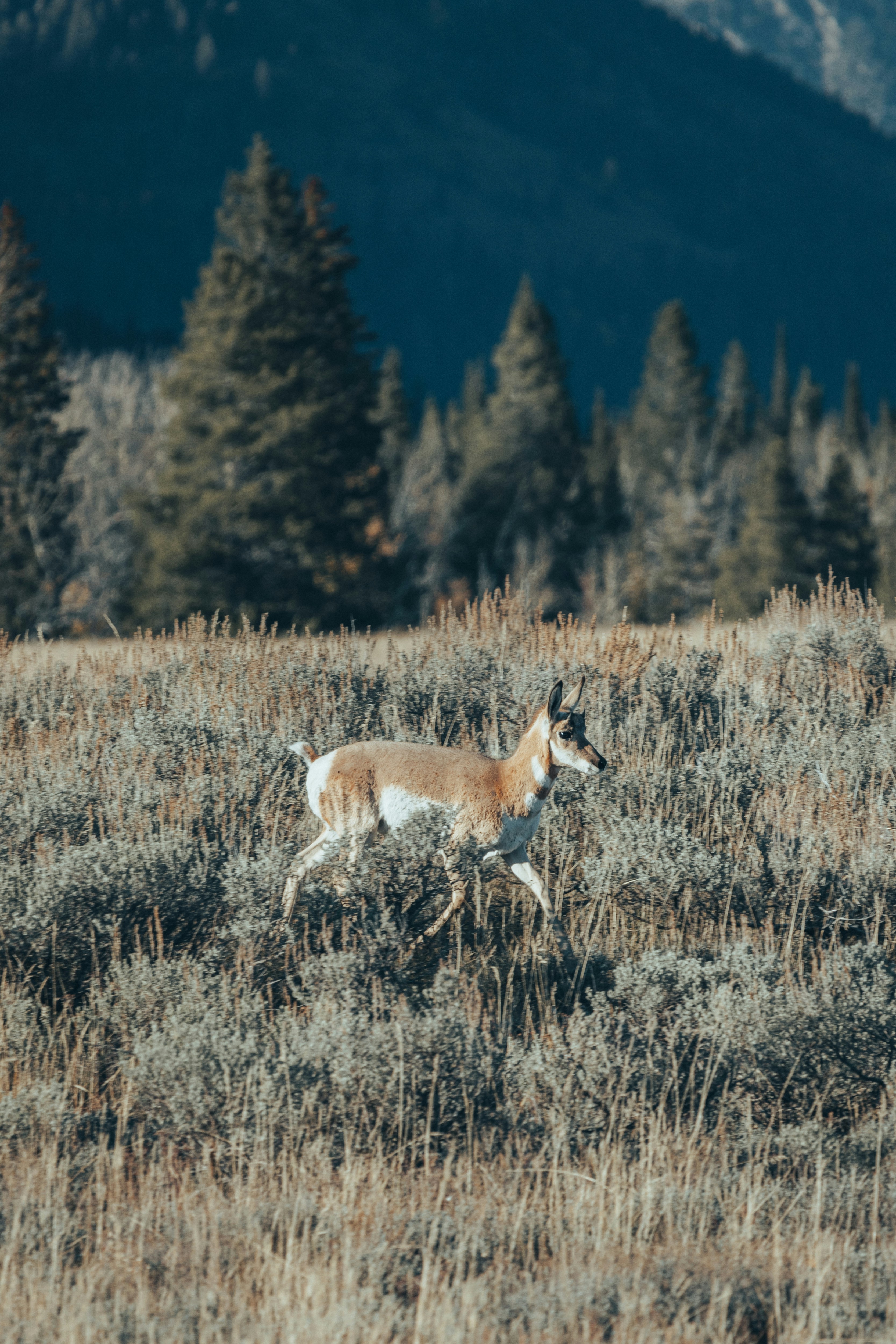 Photo by isaactmitchell