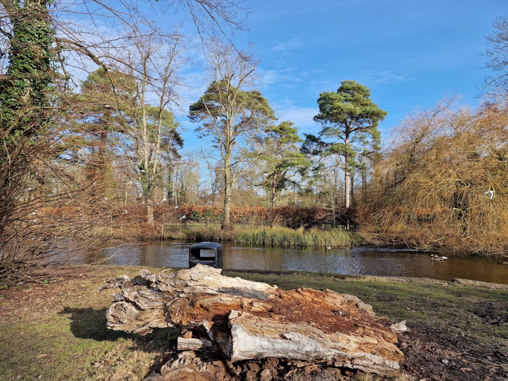 a log sitting on top of a grass covered field