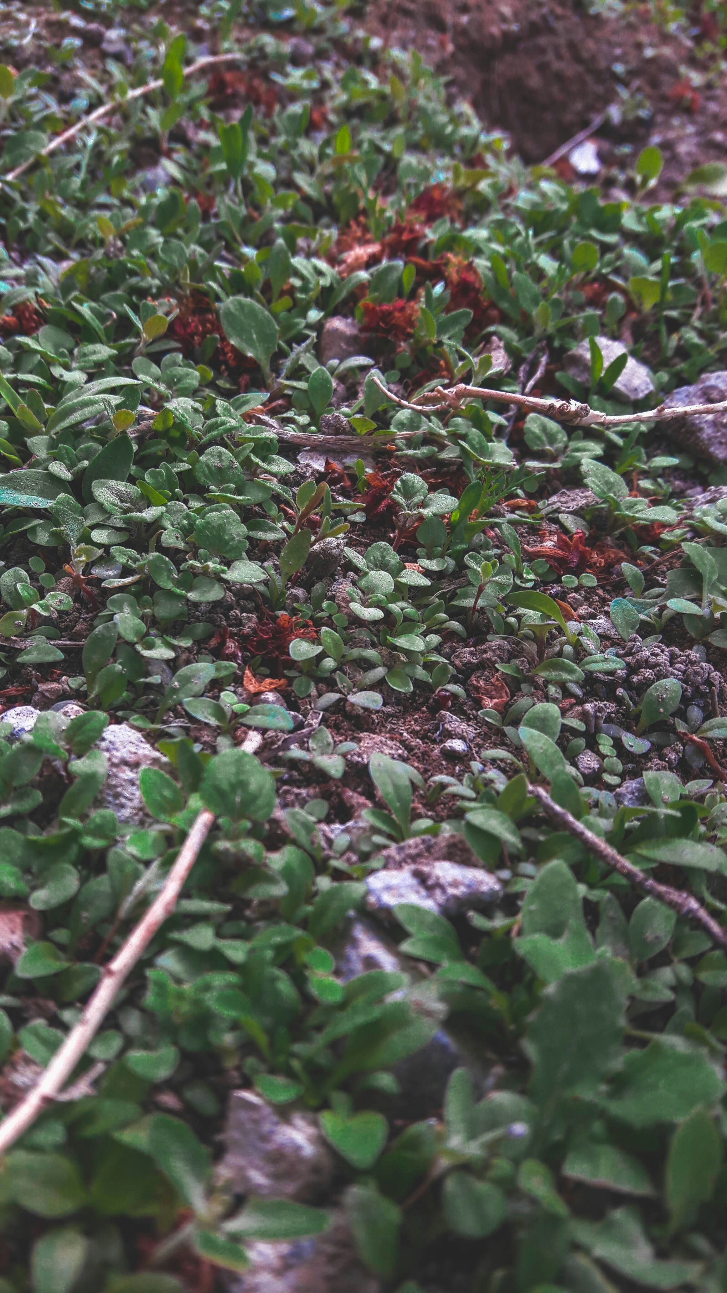 Photo by amirmoharrami