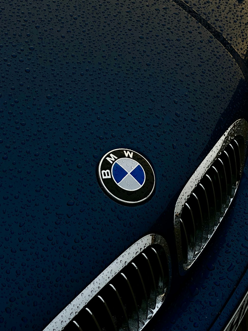 Un primer plano de un emblema de BMW en un coche