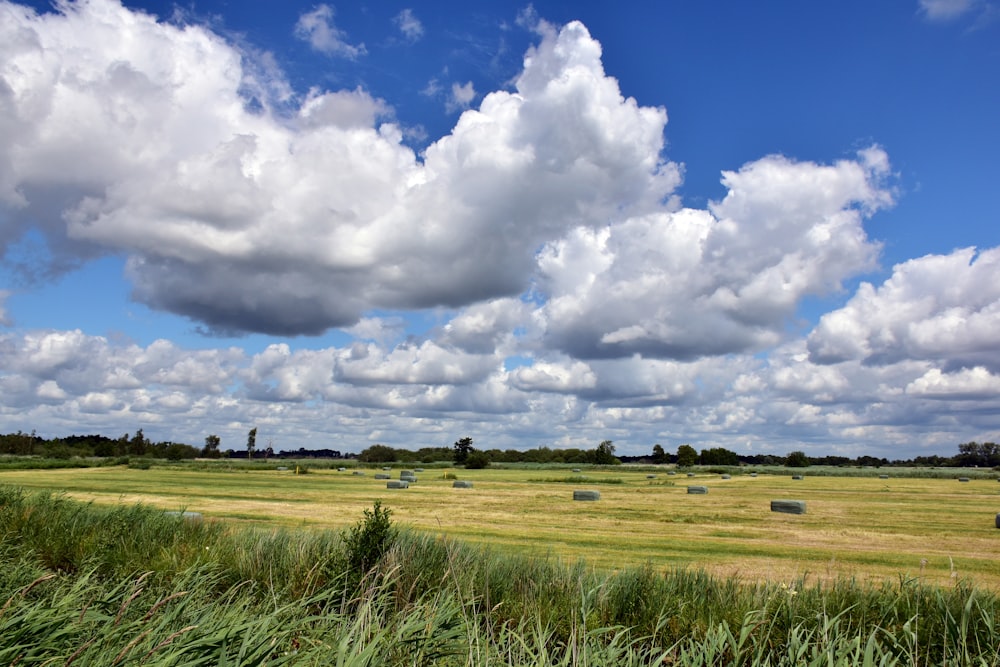 a field with hay bales under a cloudy blue sky