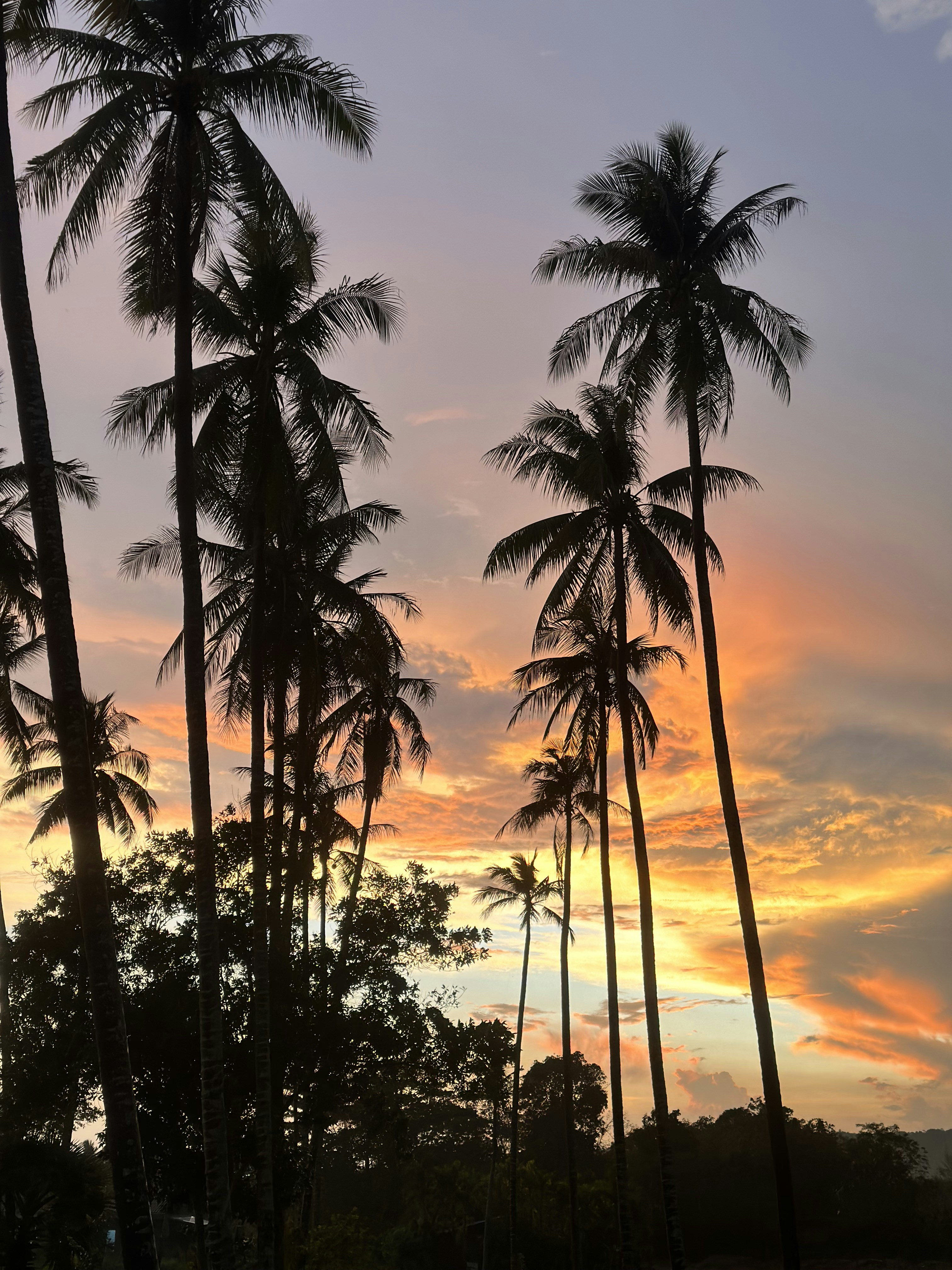 Photo by wararatsara