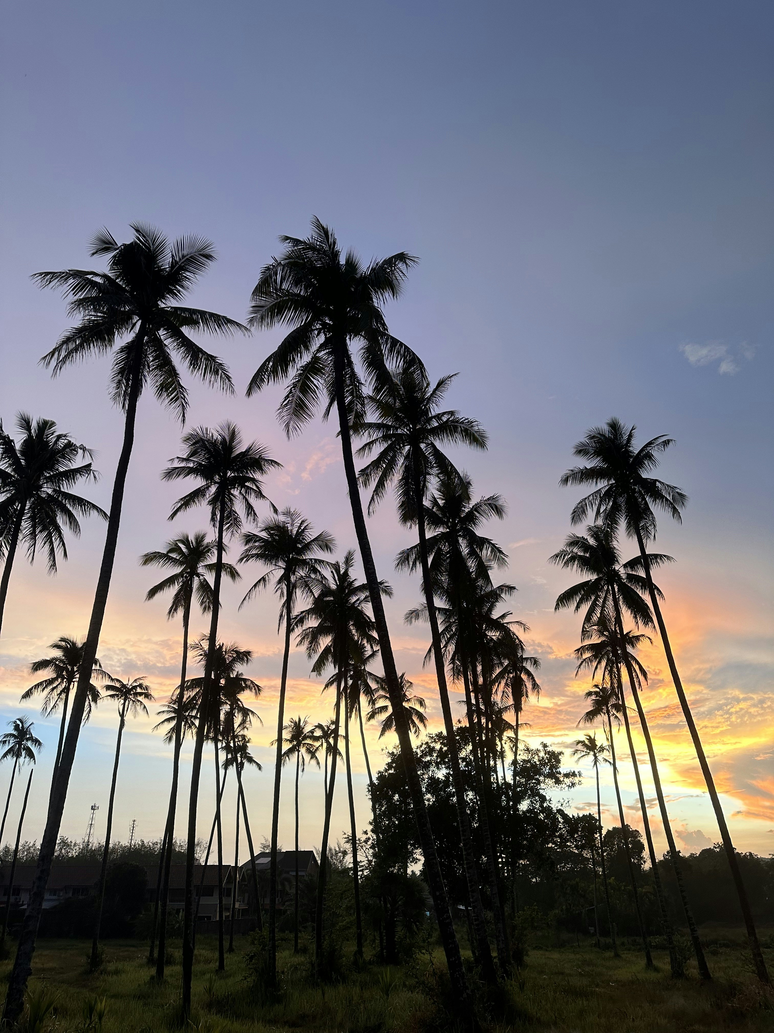 Photo by wararatsara