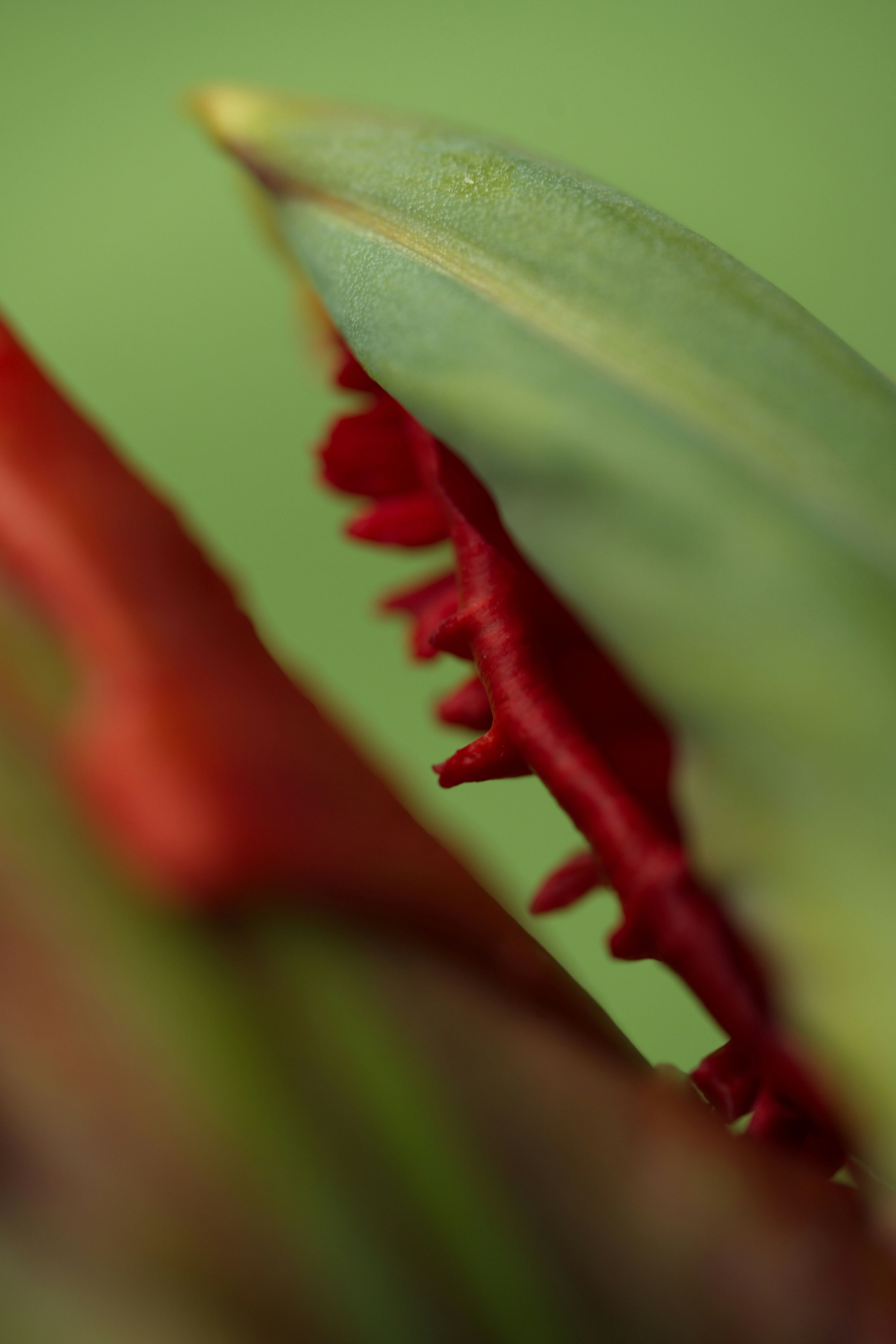 Photo by vikaelefant