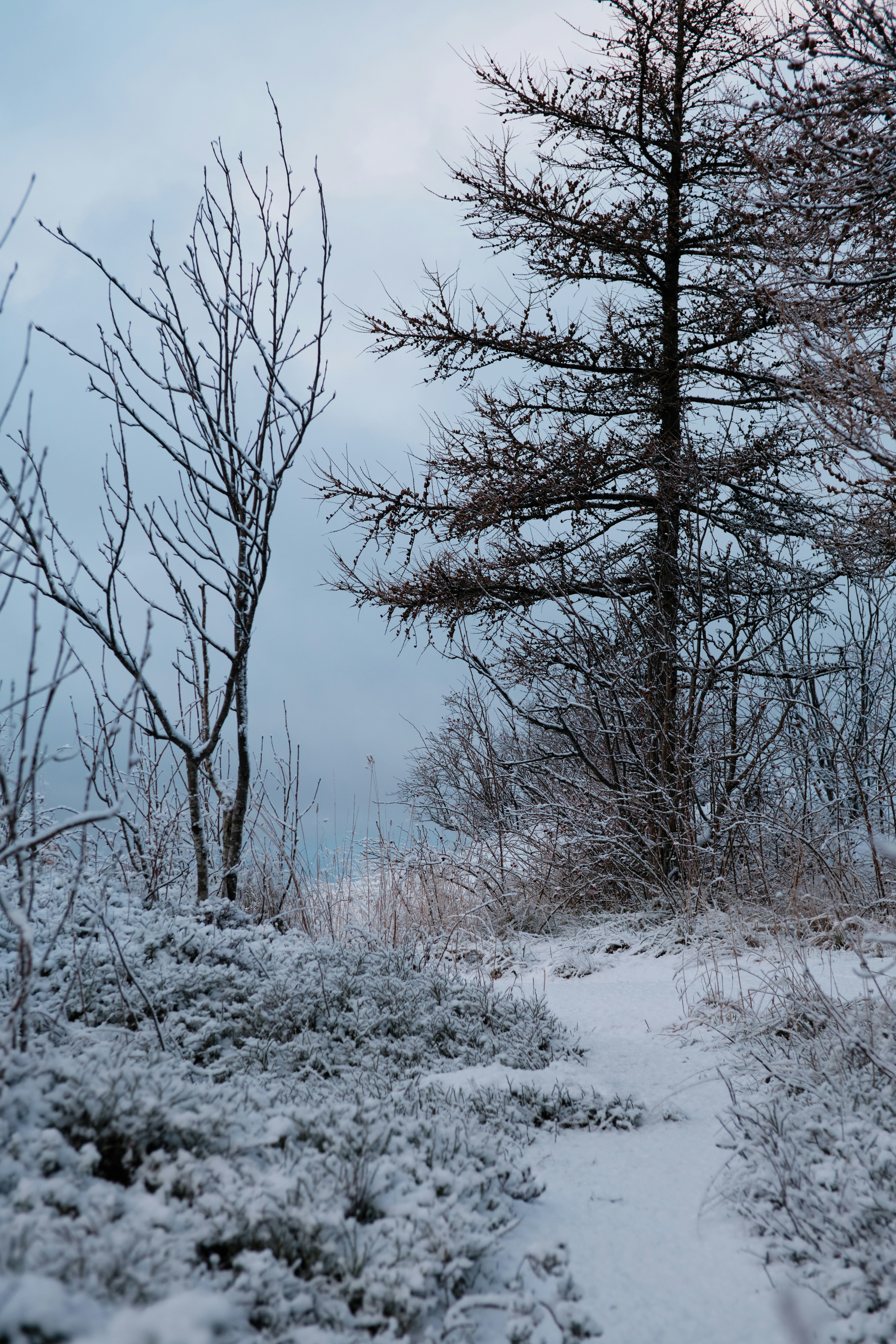 Photo by fabiankollen