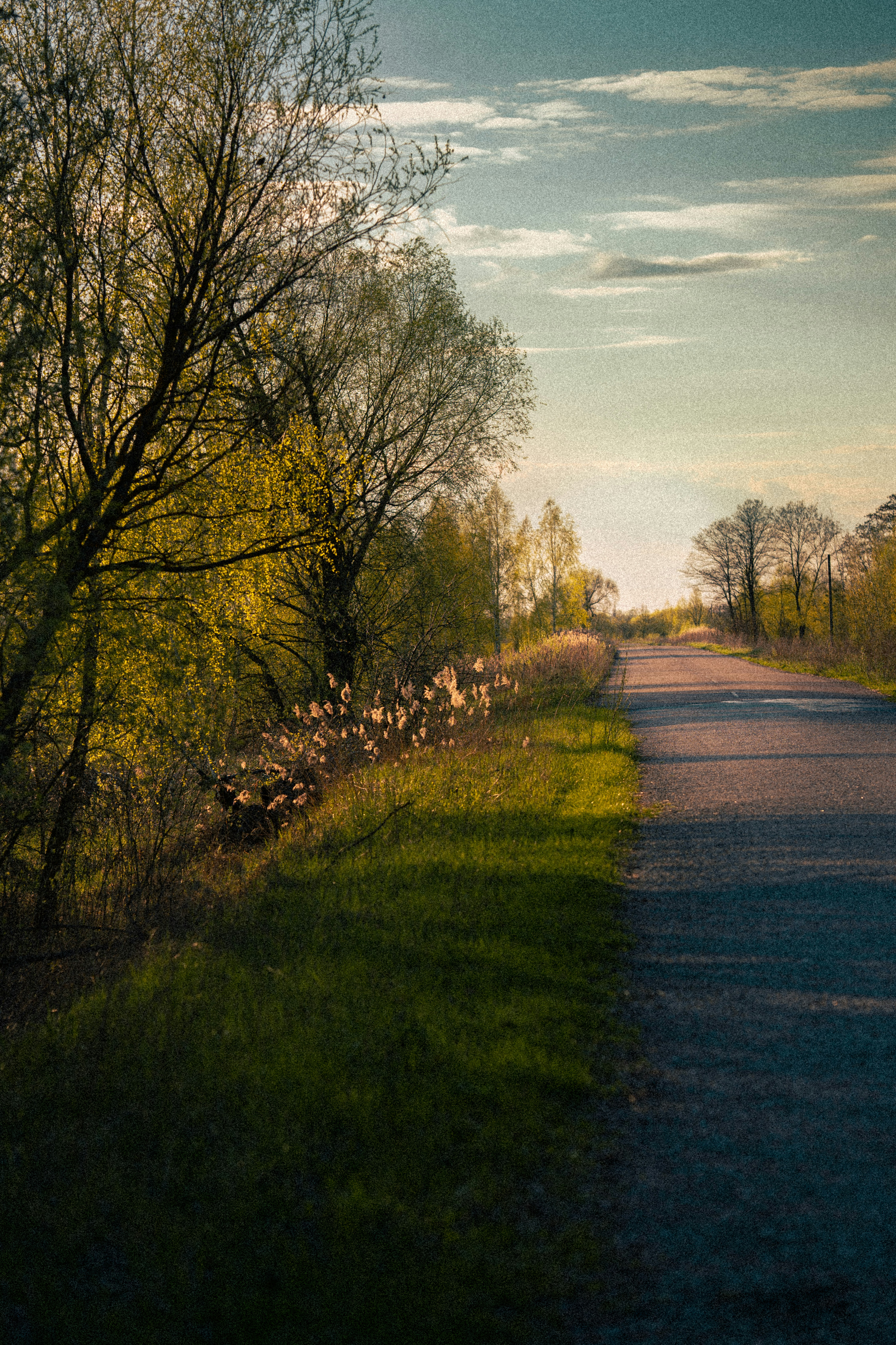 Photo by samoyedness