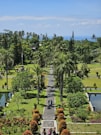 a view of a park with a lot of trees