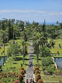 a view of a park with a lot of trees
