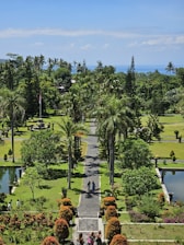 a view of a park with a lot of trees