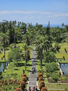 a view of a park with a lot of trees