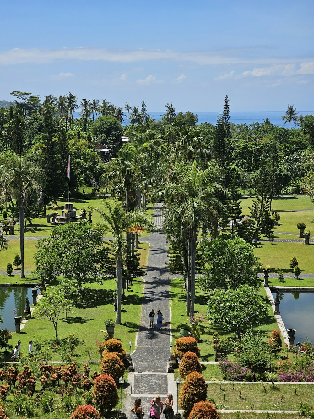 a view of a park with a lot of trees