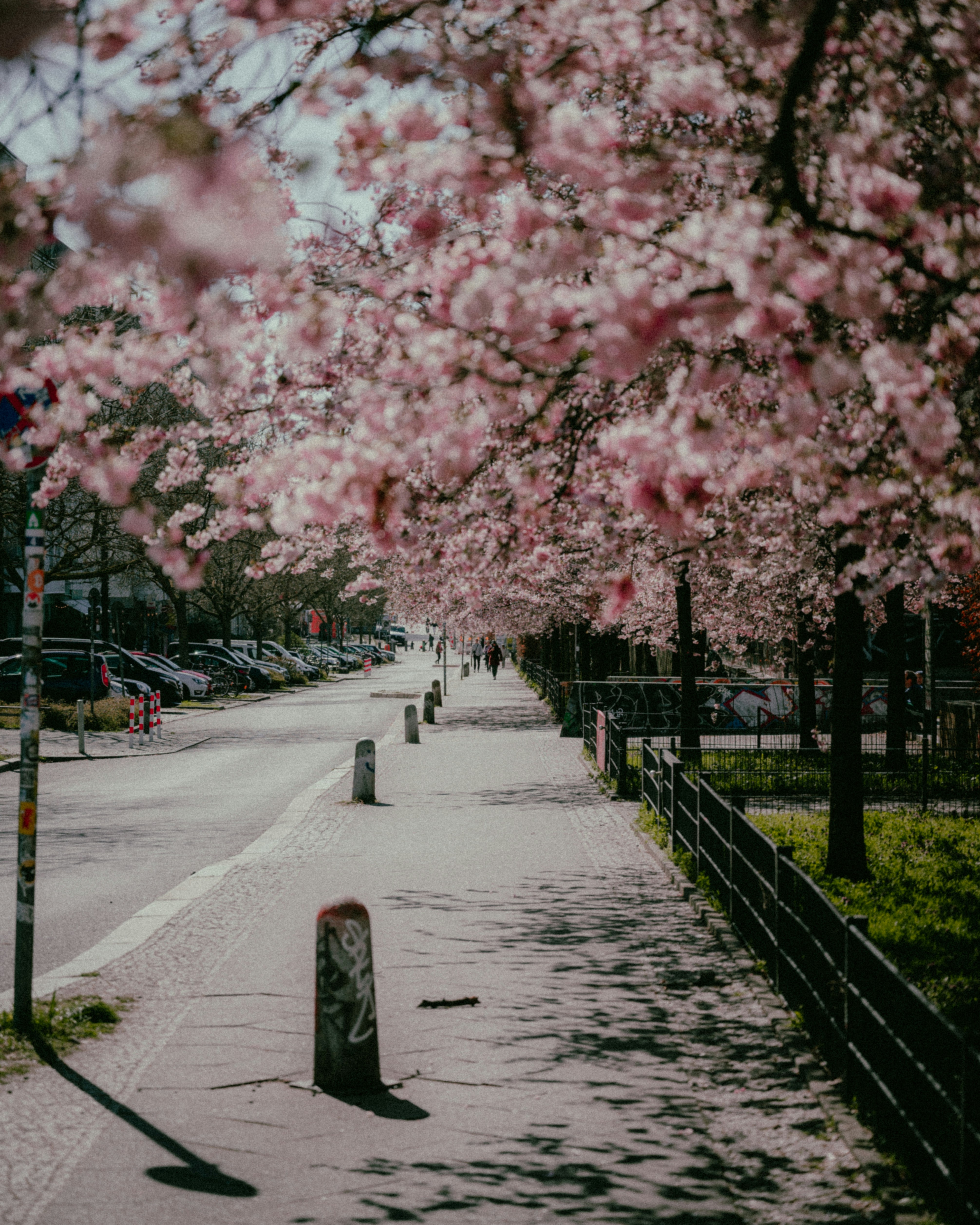 Photo by luca_severin