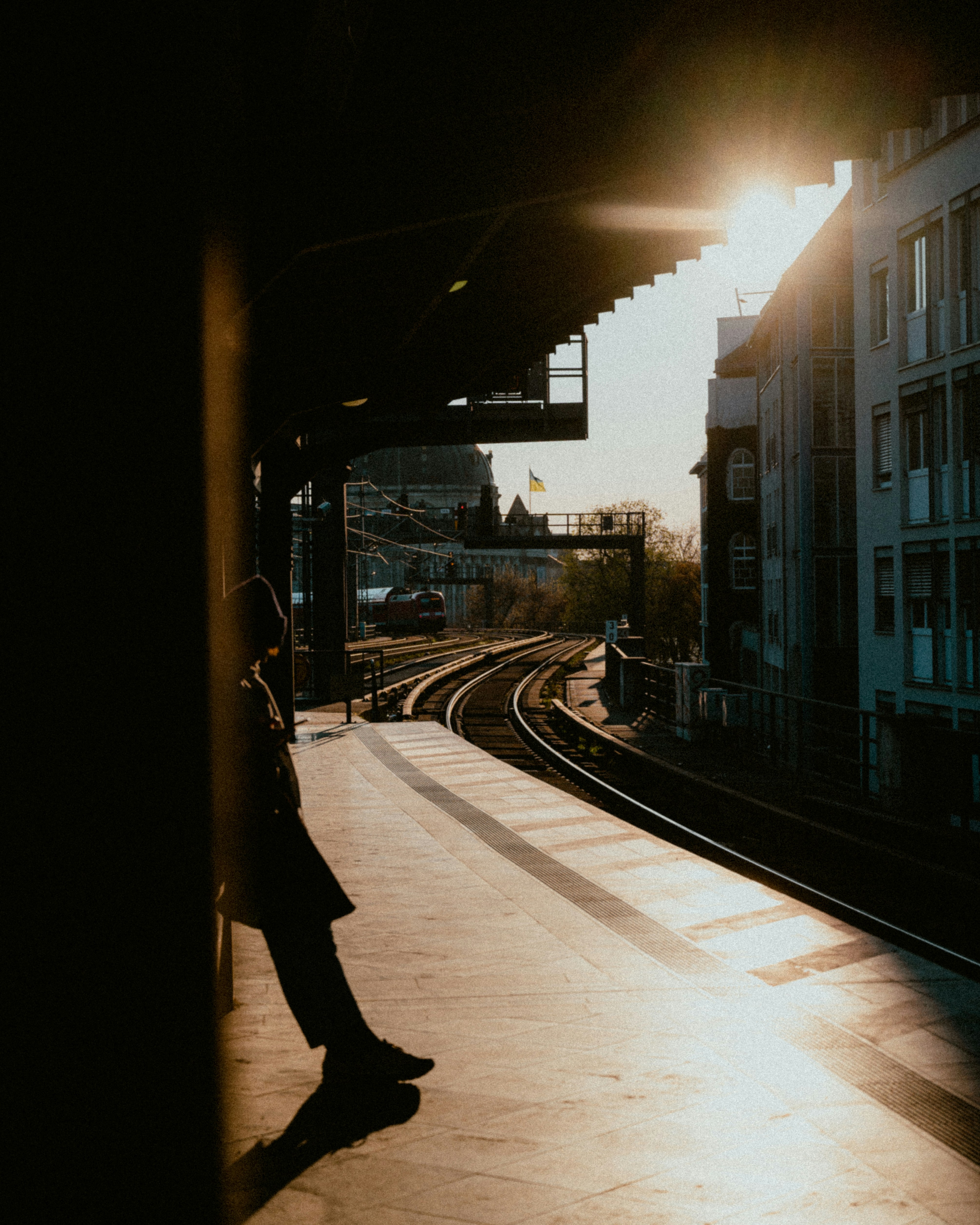 Photo by luca_severin