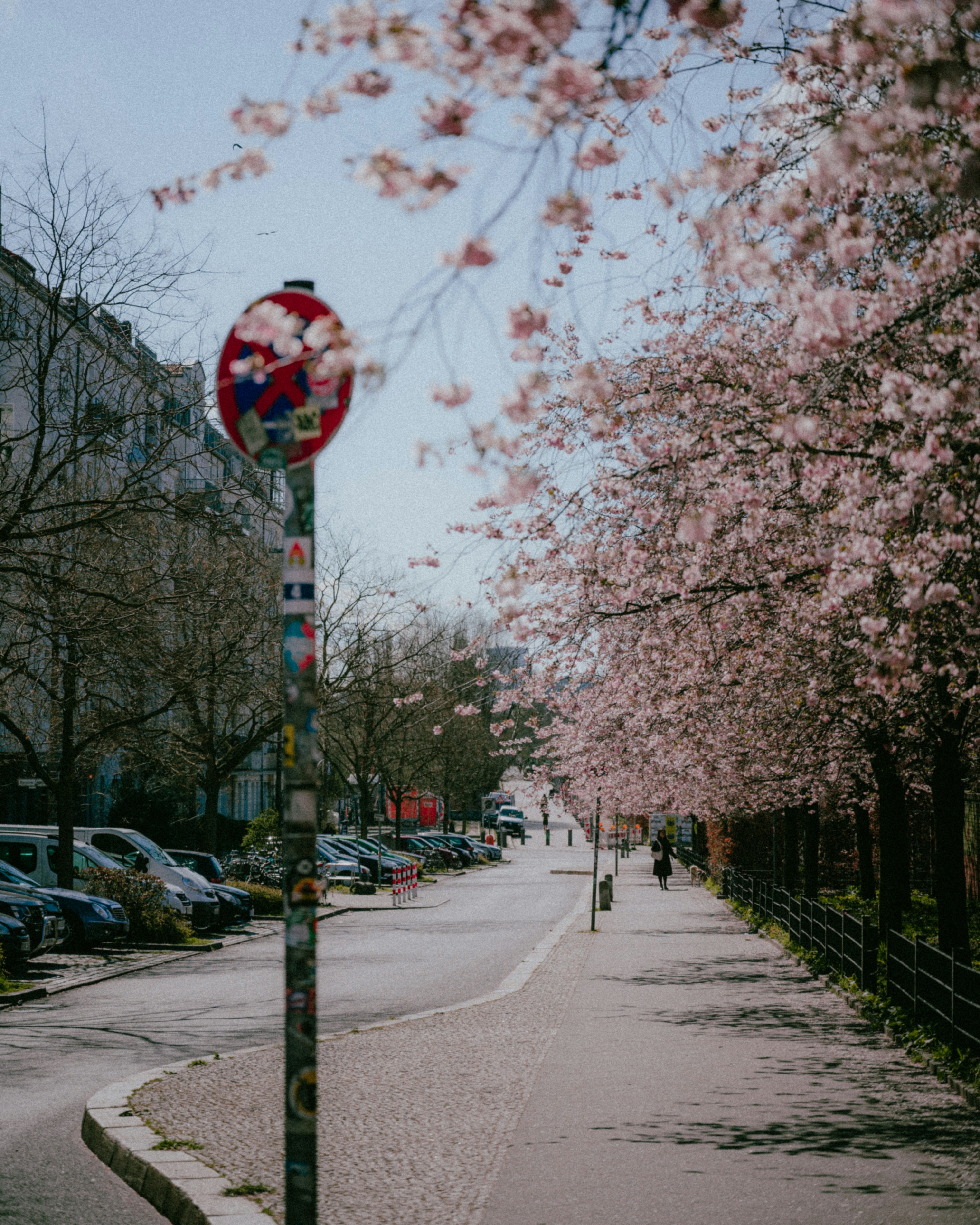 Photo by luca_severin