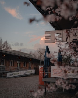 A peaceful campus courtyard blurred softly, hinting at the global reach of edq international.