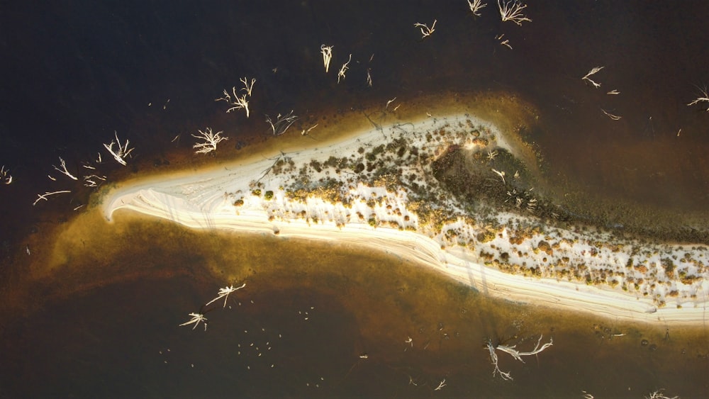 a bird's eye view of a beach and water