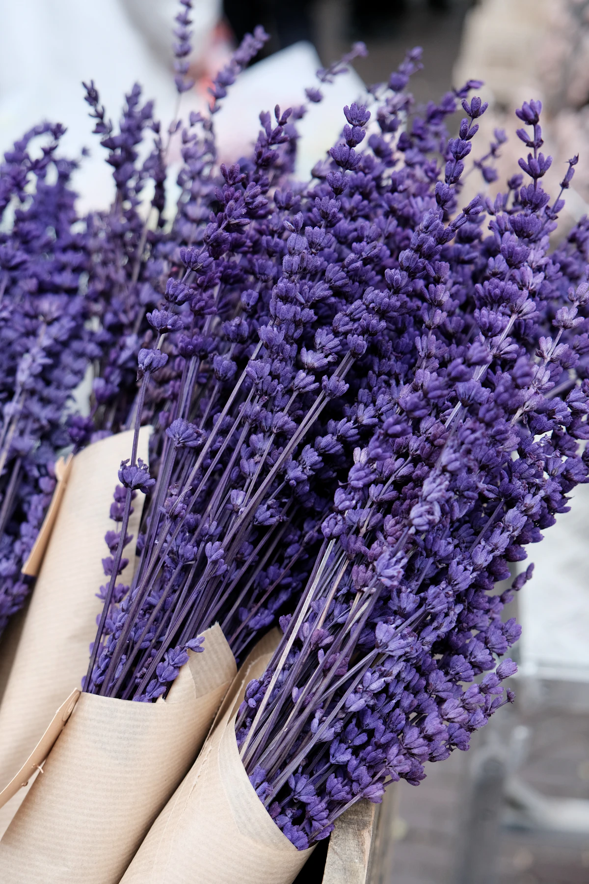 Bundle of dried lavender beside a violet amethyst stone, evoking the calming, atmospheric quality the stone is associated with