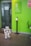 A humanoid robot stands on the tiled floor near a bright green wall that displays a sign for the Goethe-Institut along with its opening hours. A sanitizer dispenser is mounted on a stand near the robot.