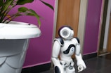 A small humanoid robot with a white and black exterior stands in front of a wooden door. There is a large white plant pot with green leaves in the foreground. The wall behind the robot is painted in a vibrant purple color.