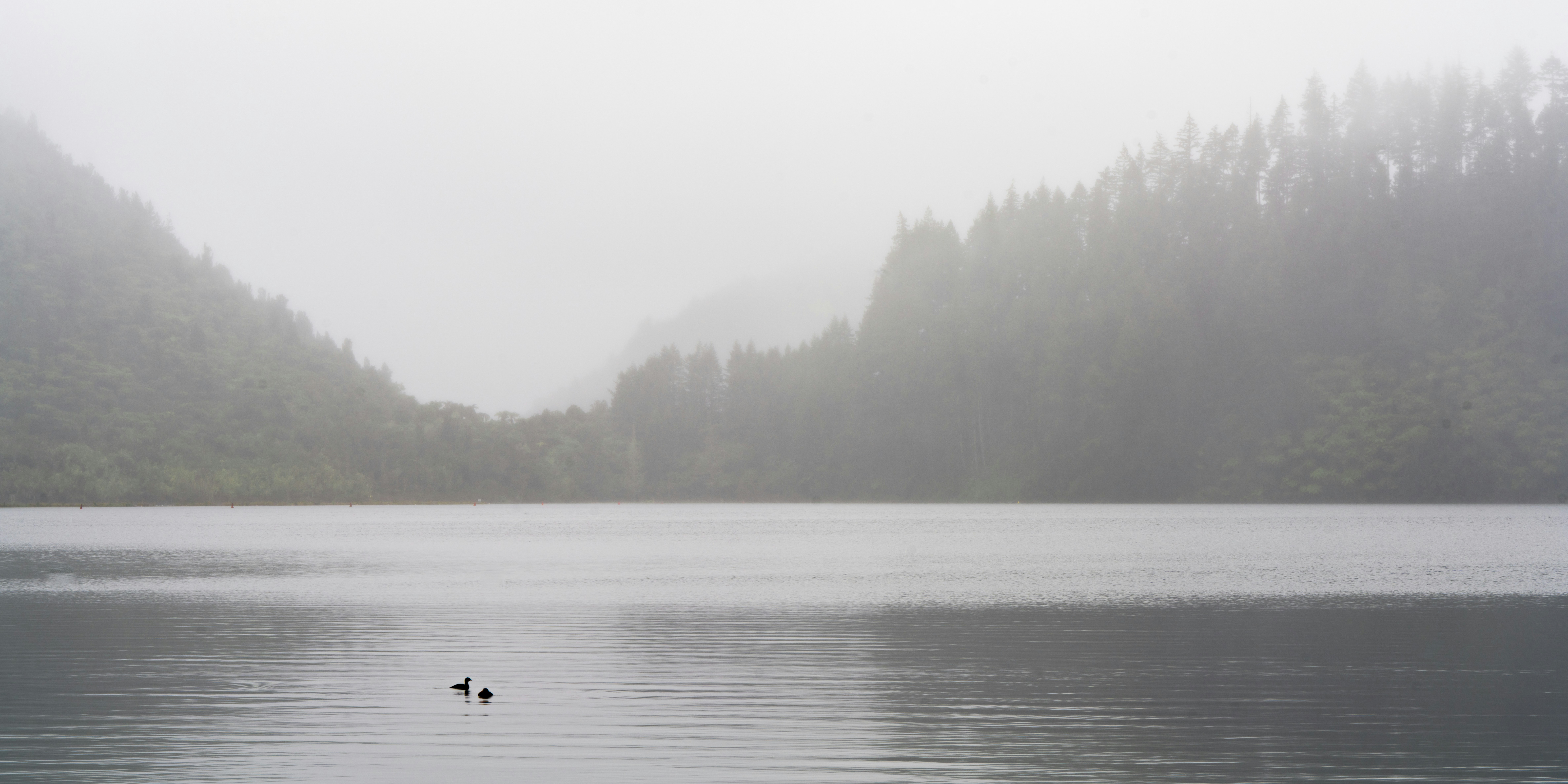 Photo by foreverautumn