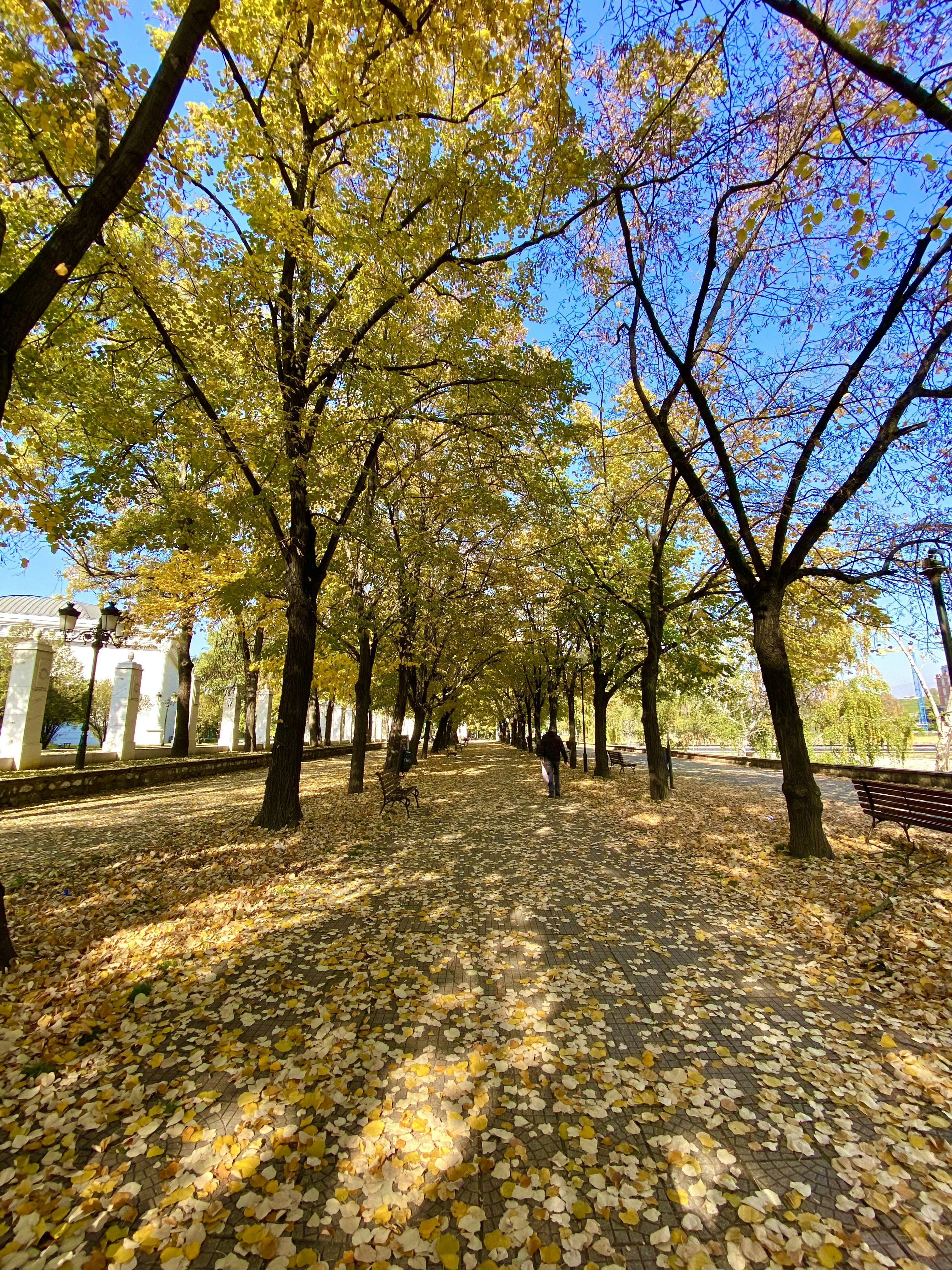 Photo by laultimaromanov