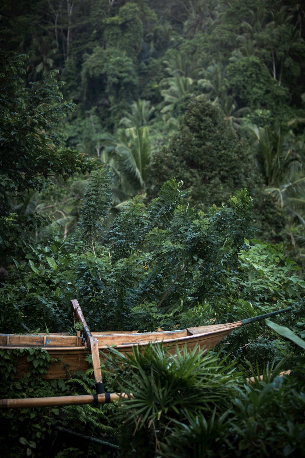 a wooden boat sitting in the middle of a forest