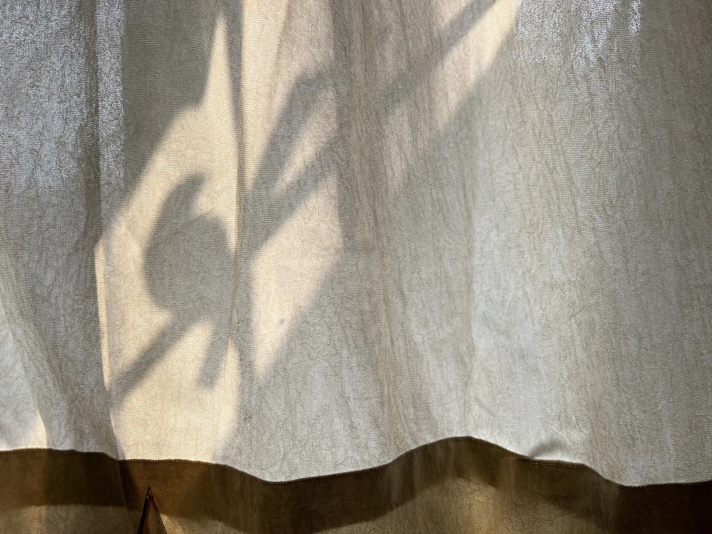 The shadow of a plant moving across a linen curtain