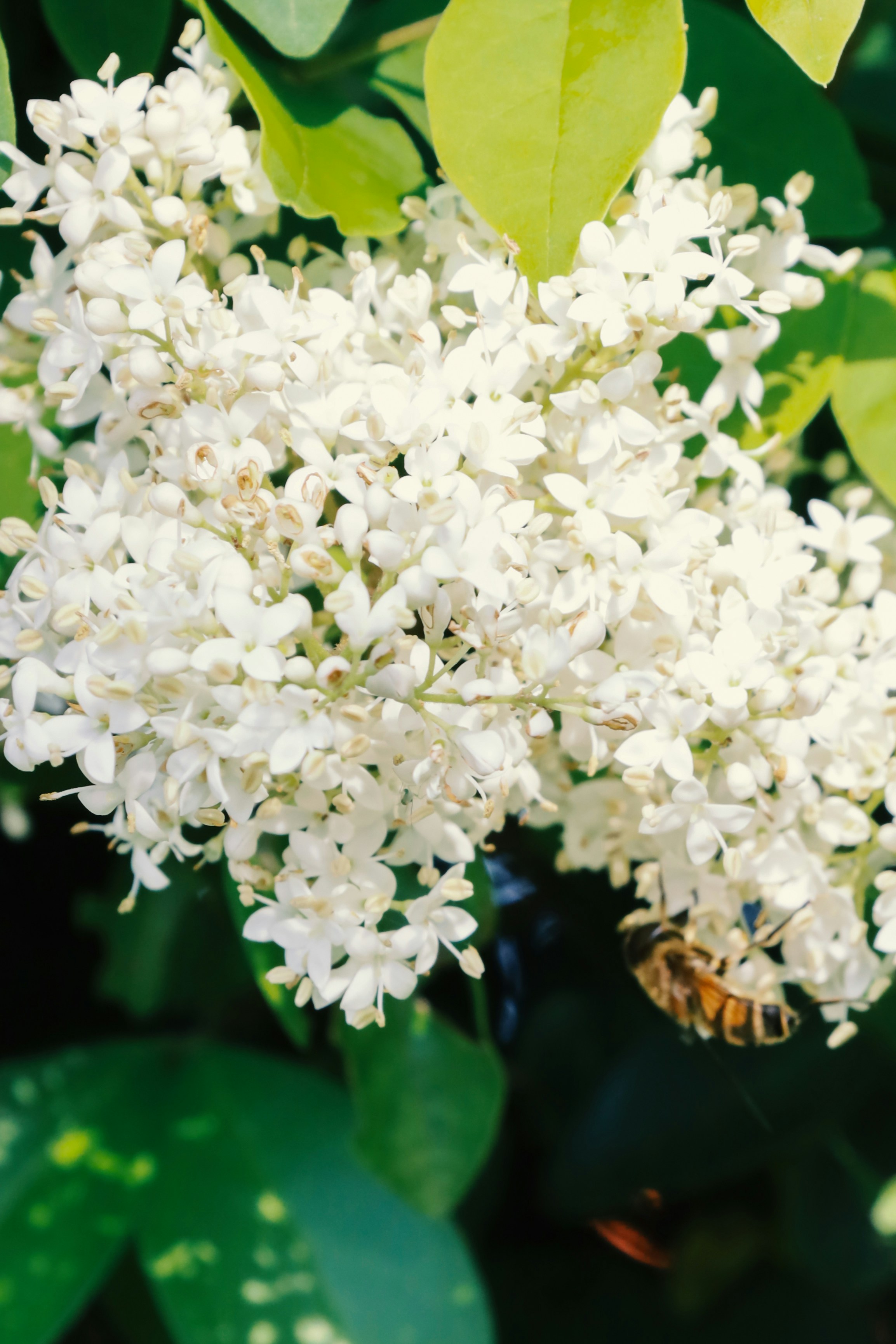 Photo by spencestafford