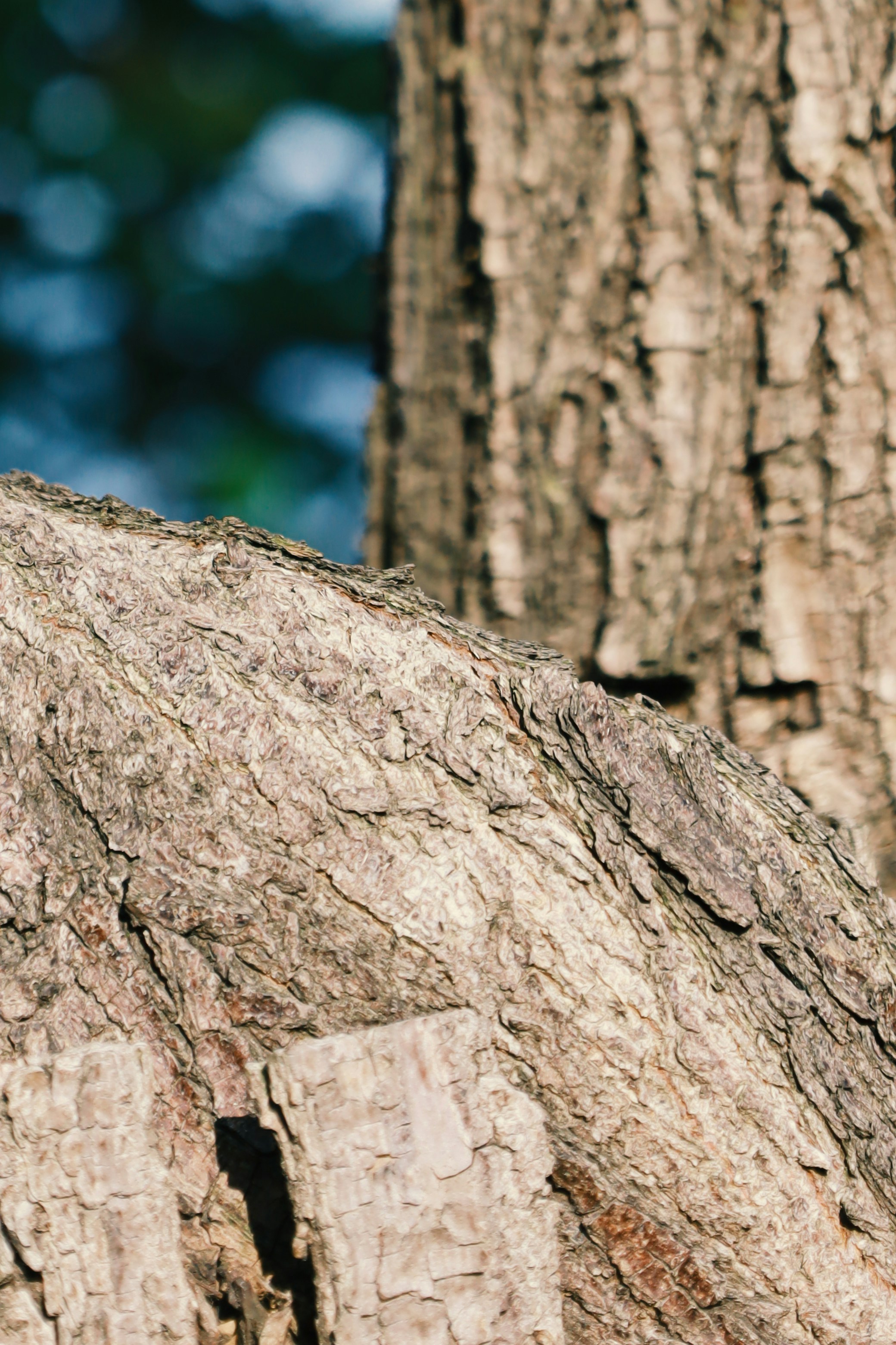 Photo by spencestafford