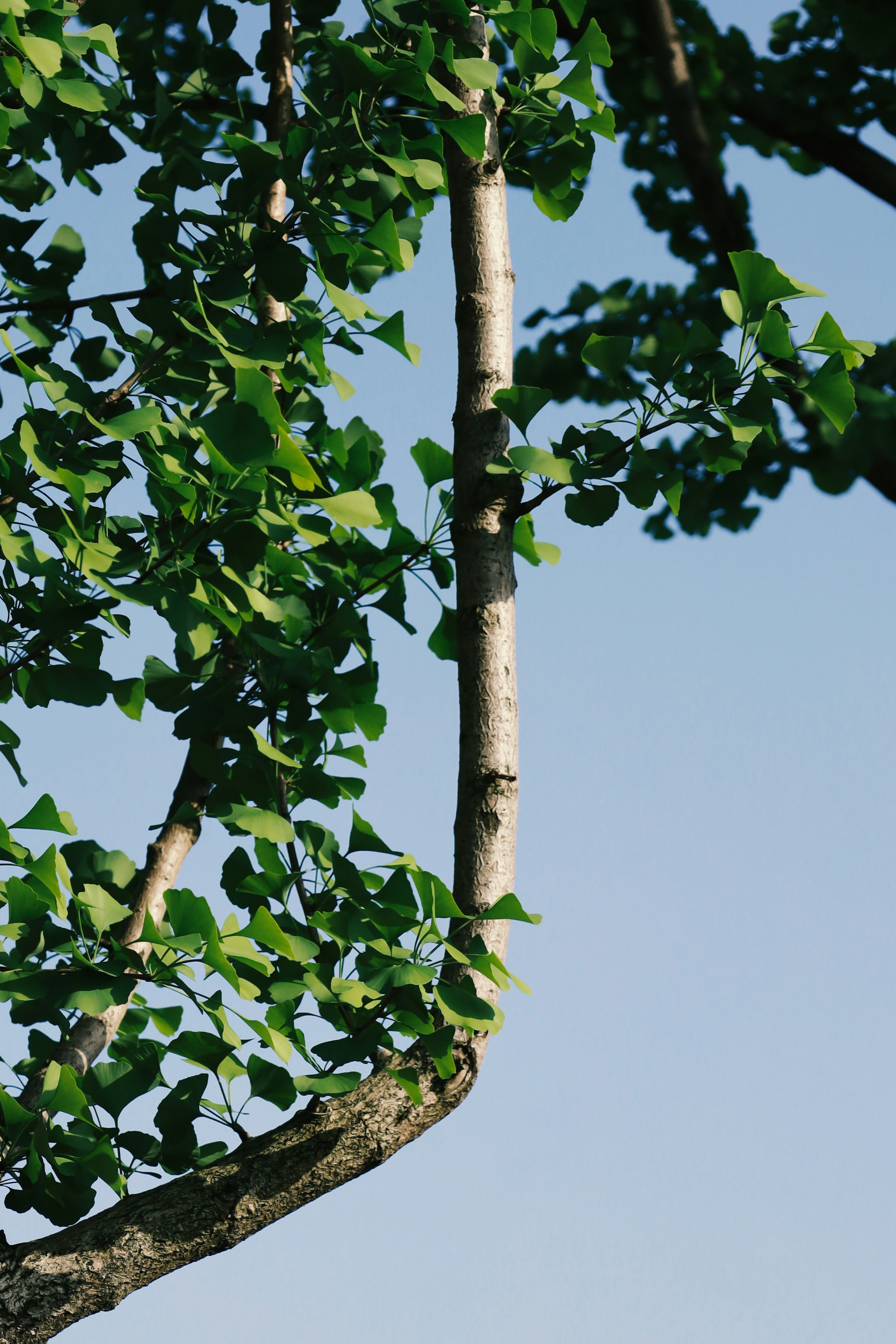 Photo by spencestafford