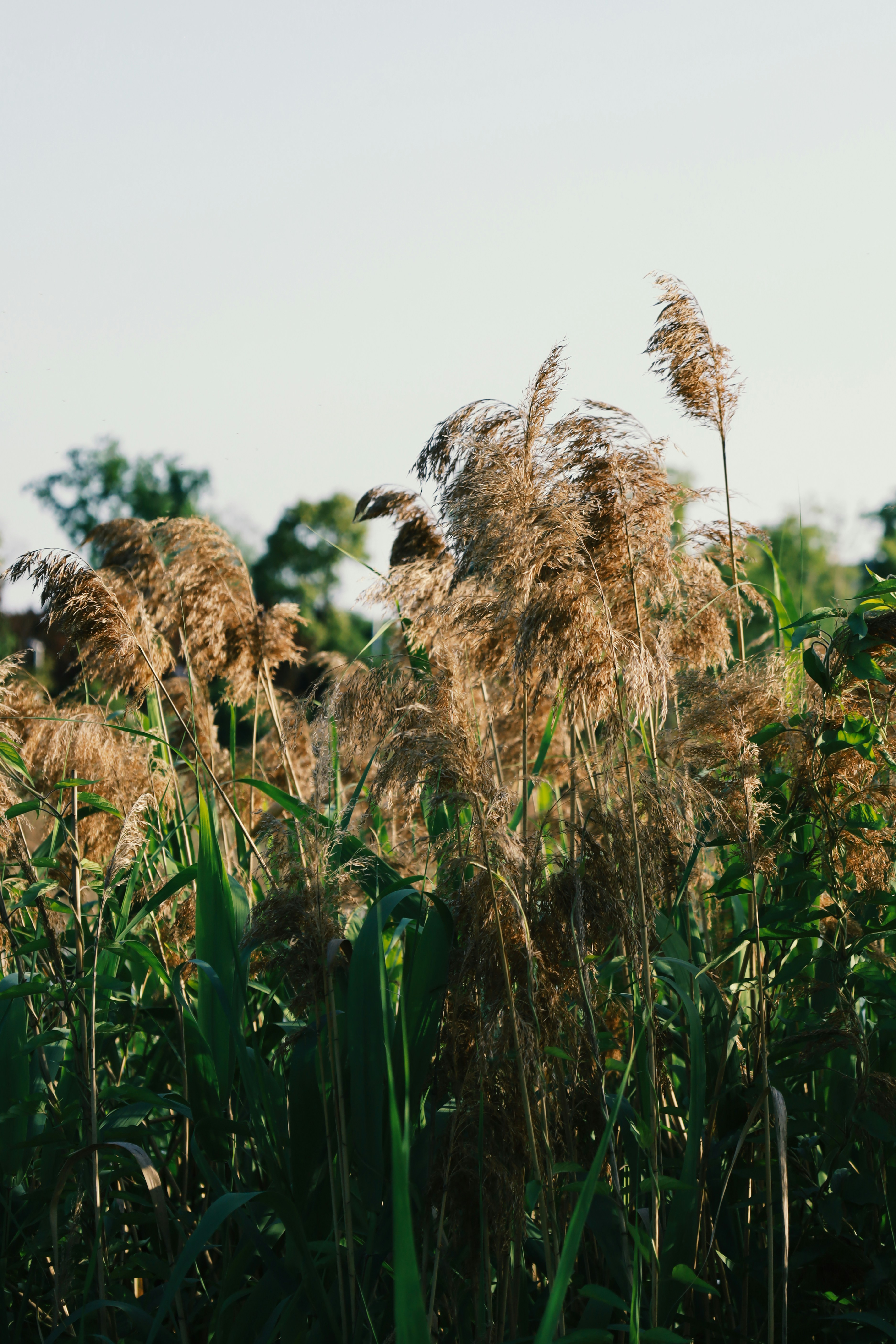 Photo by spencestafford