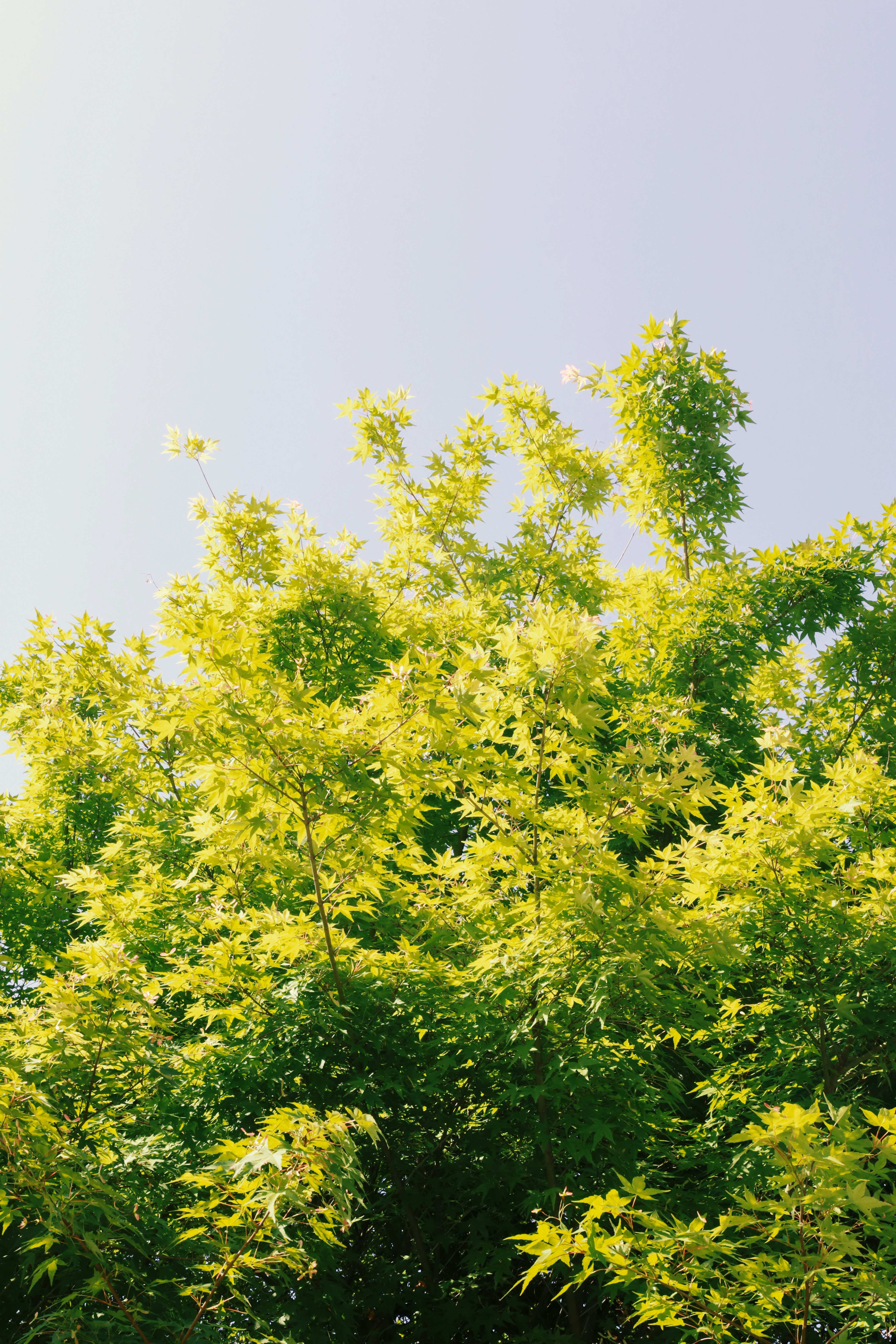 Photo by spencestafford