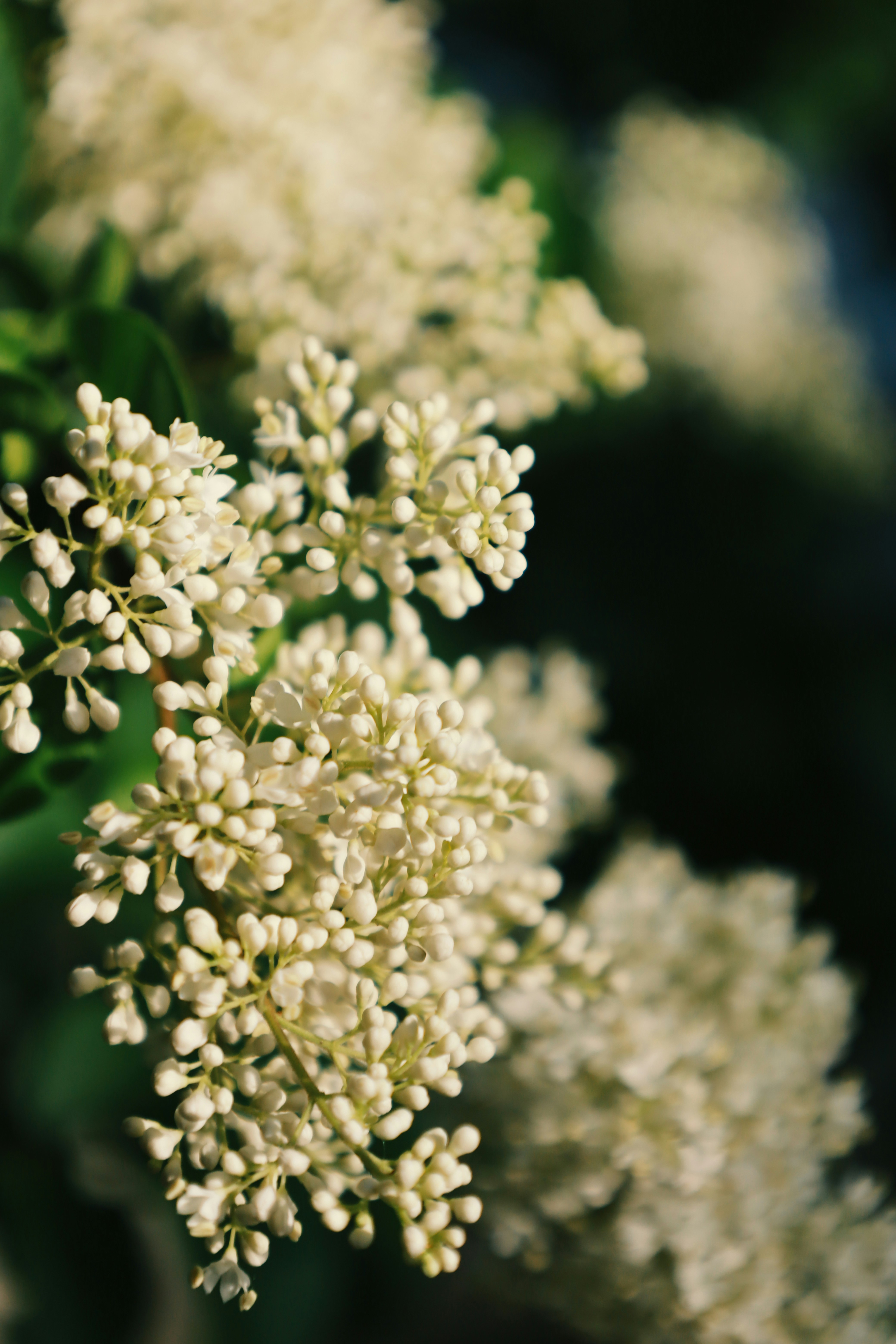 Photo by spencestafford