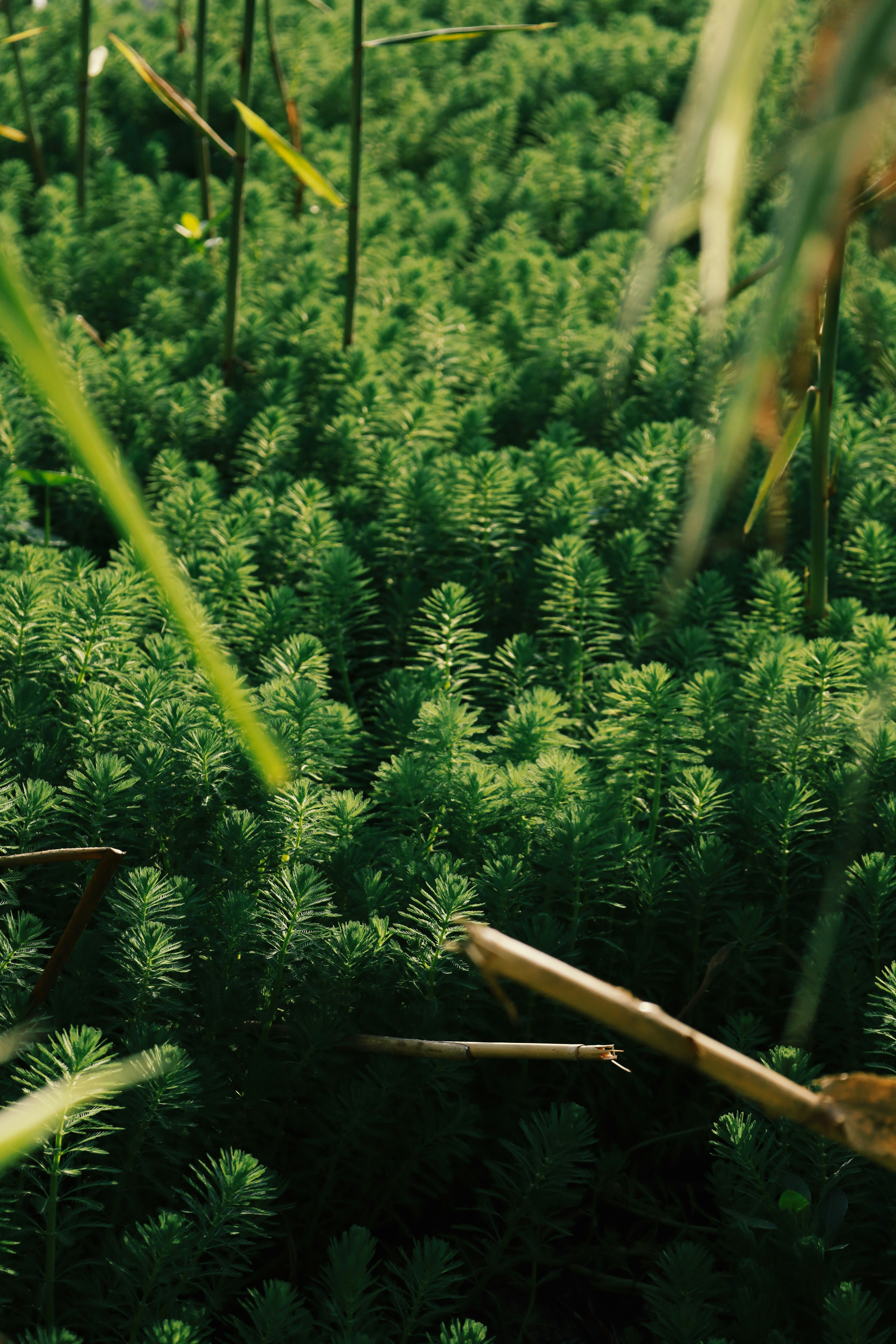 Photo by spencestafford