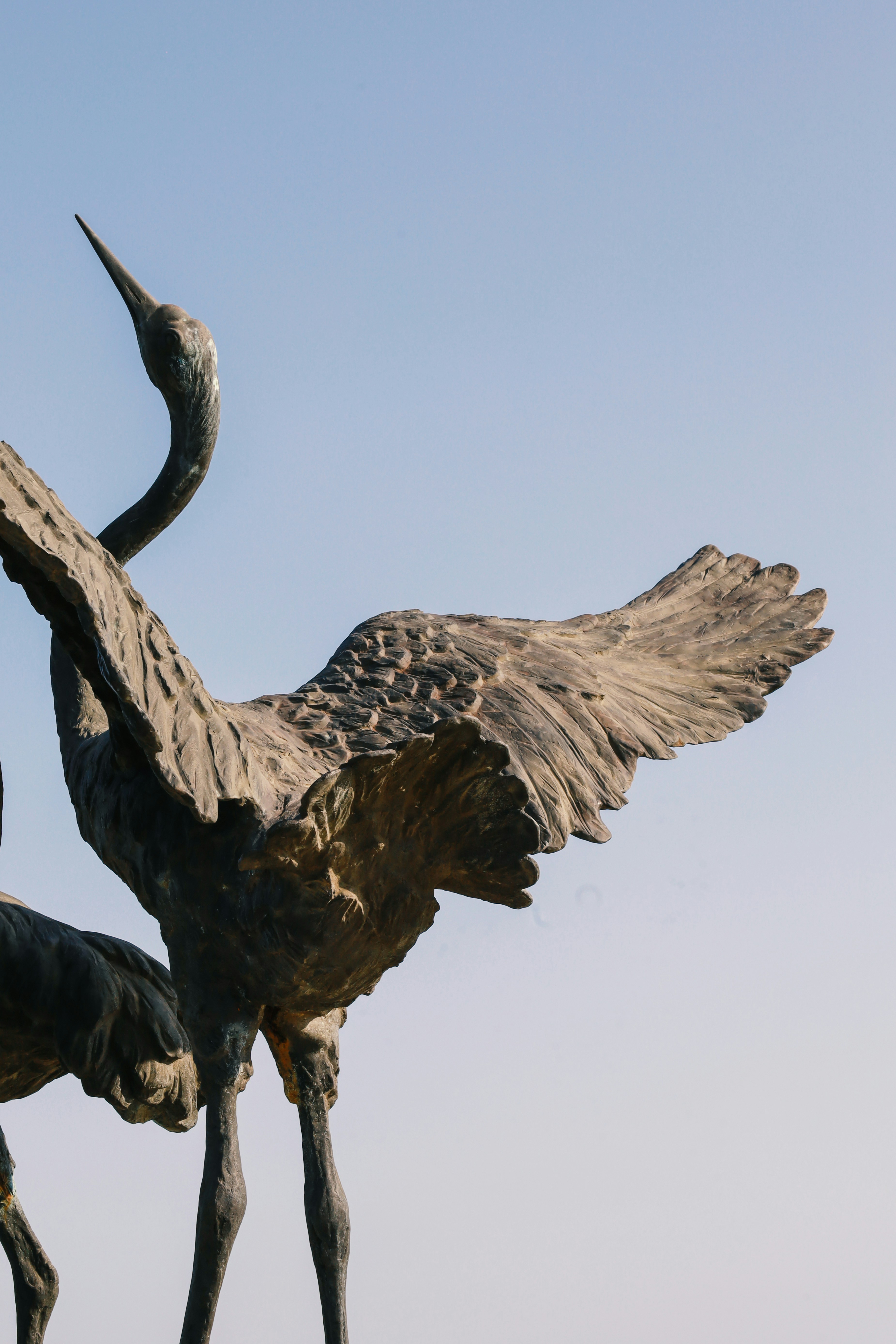 Photo by spencestafford