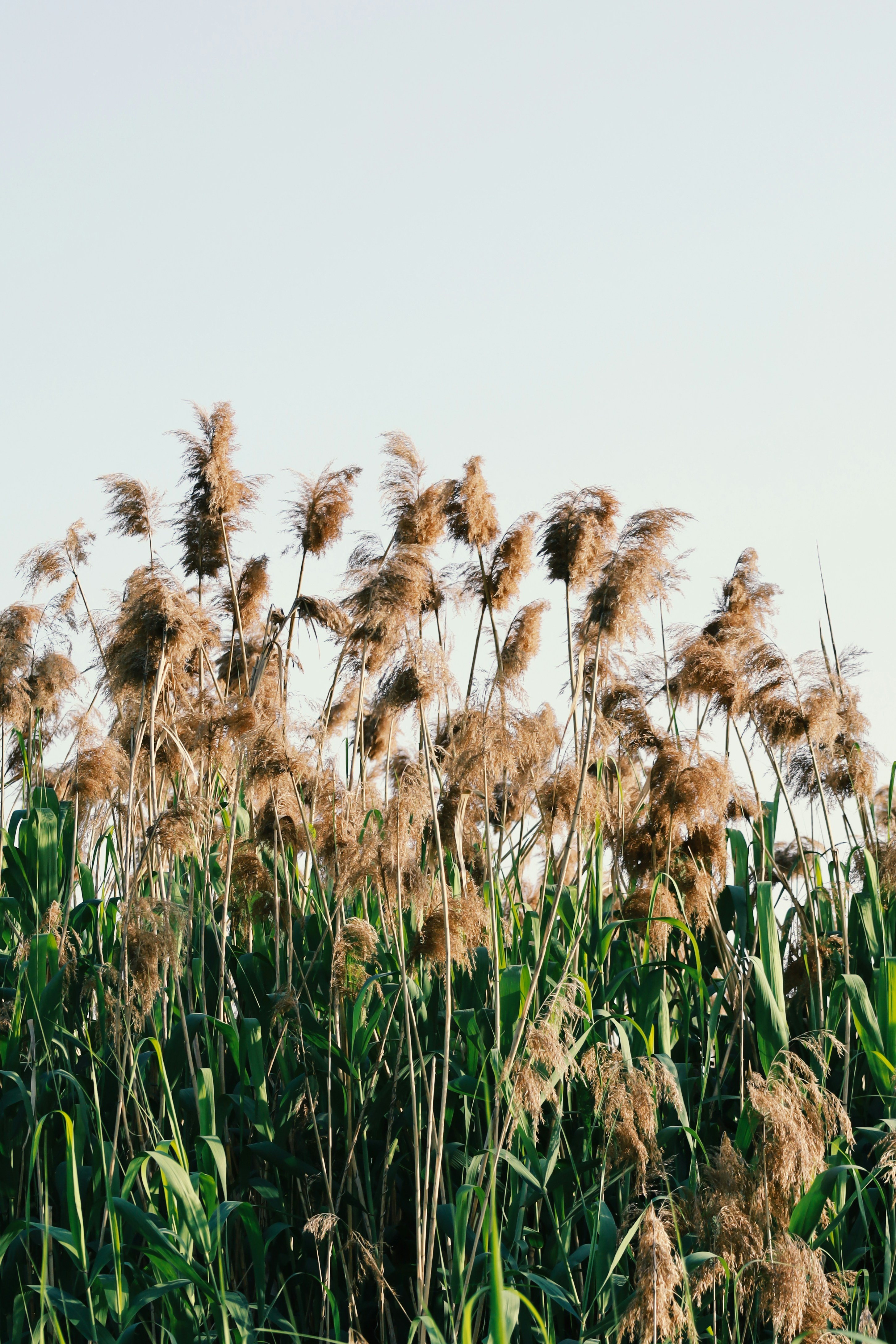 Photo by spencestafford