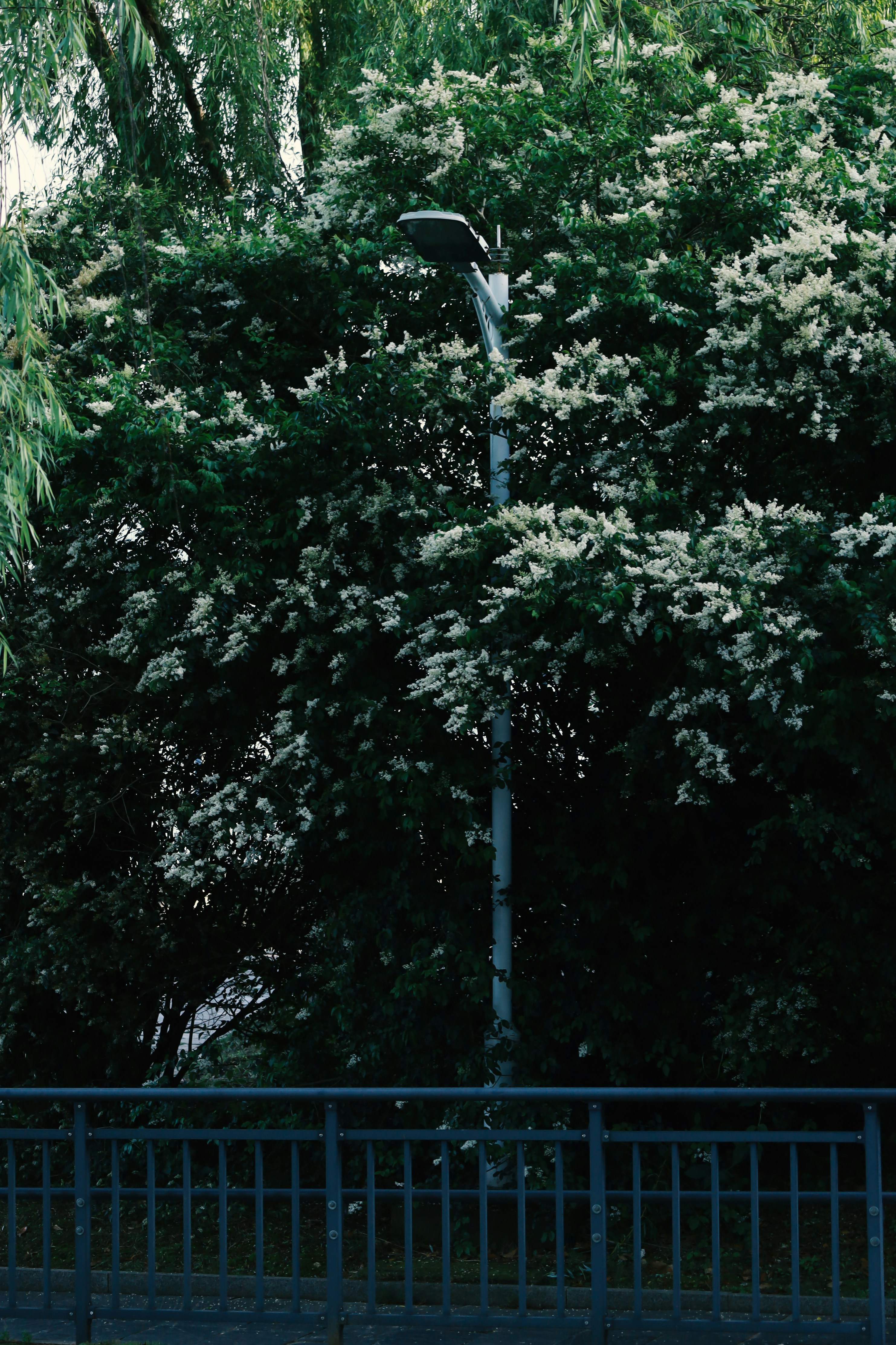 Photo by spencestafford