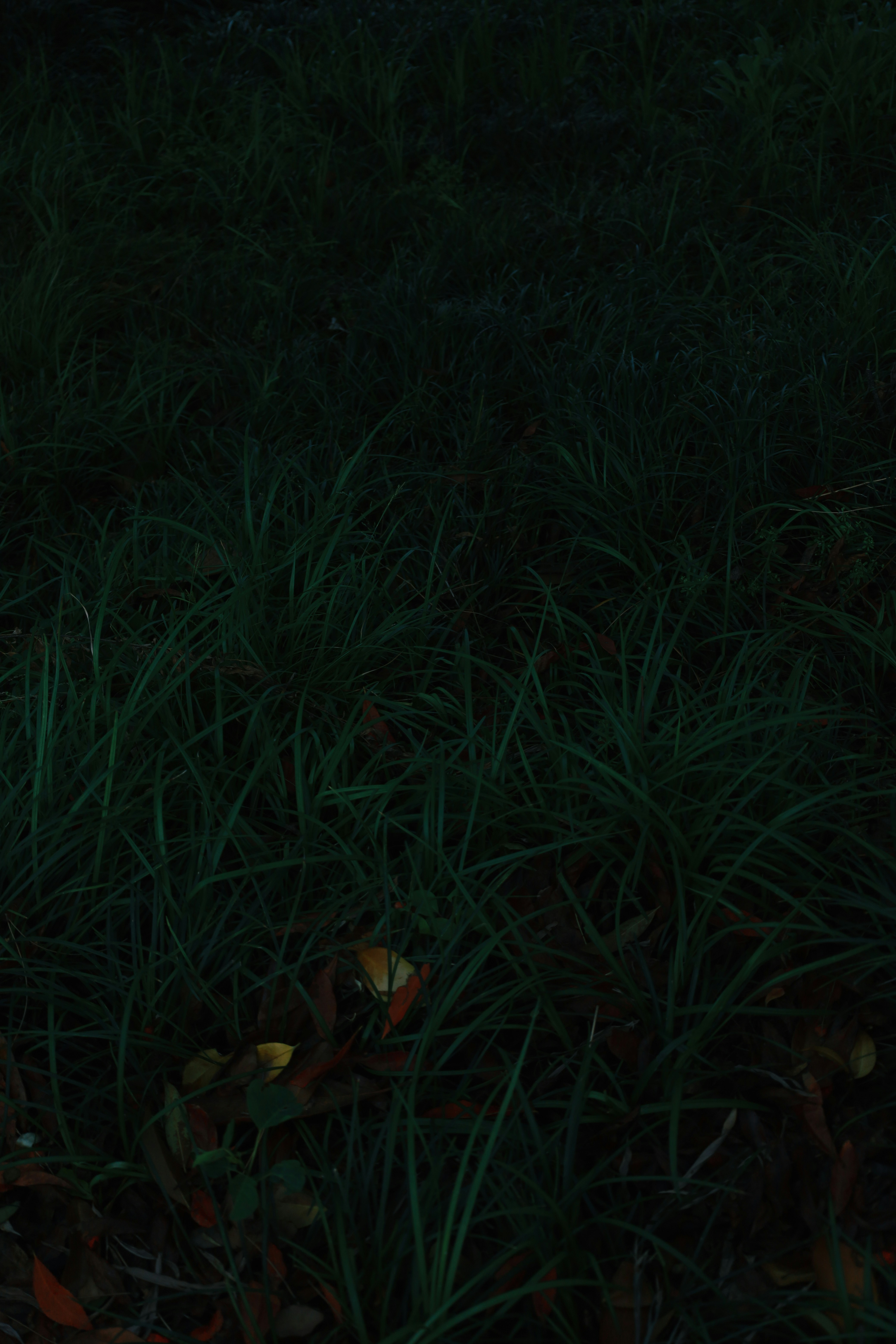 Photo by spencestafford