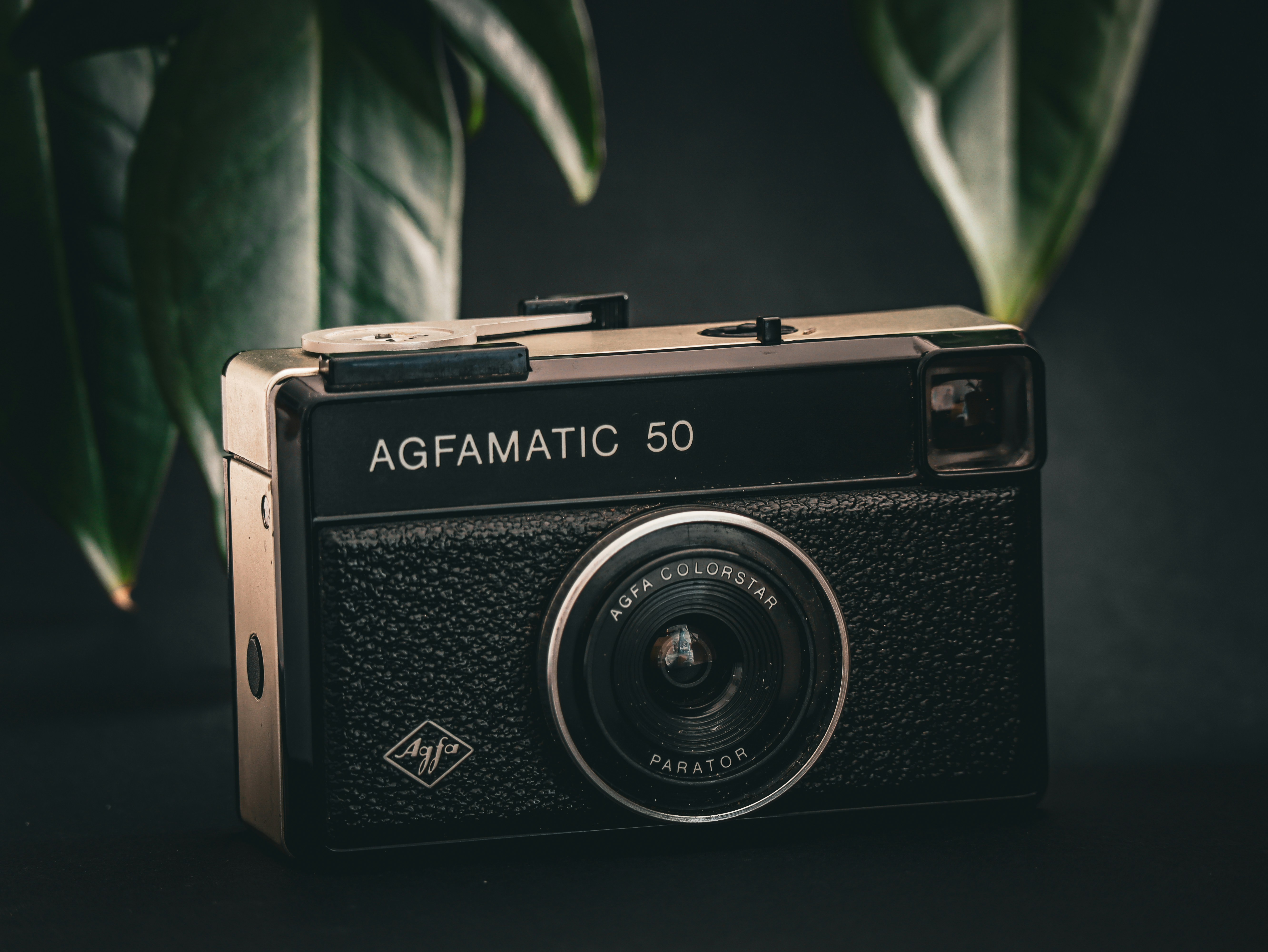 Agoho Clip Clipart Images Pictures | Download Free Images on Unsplash