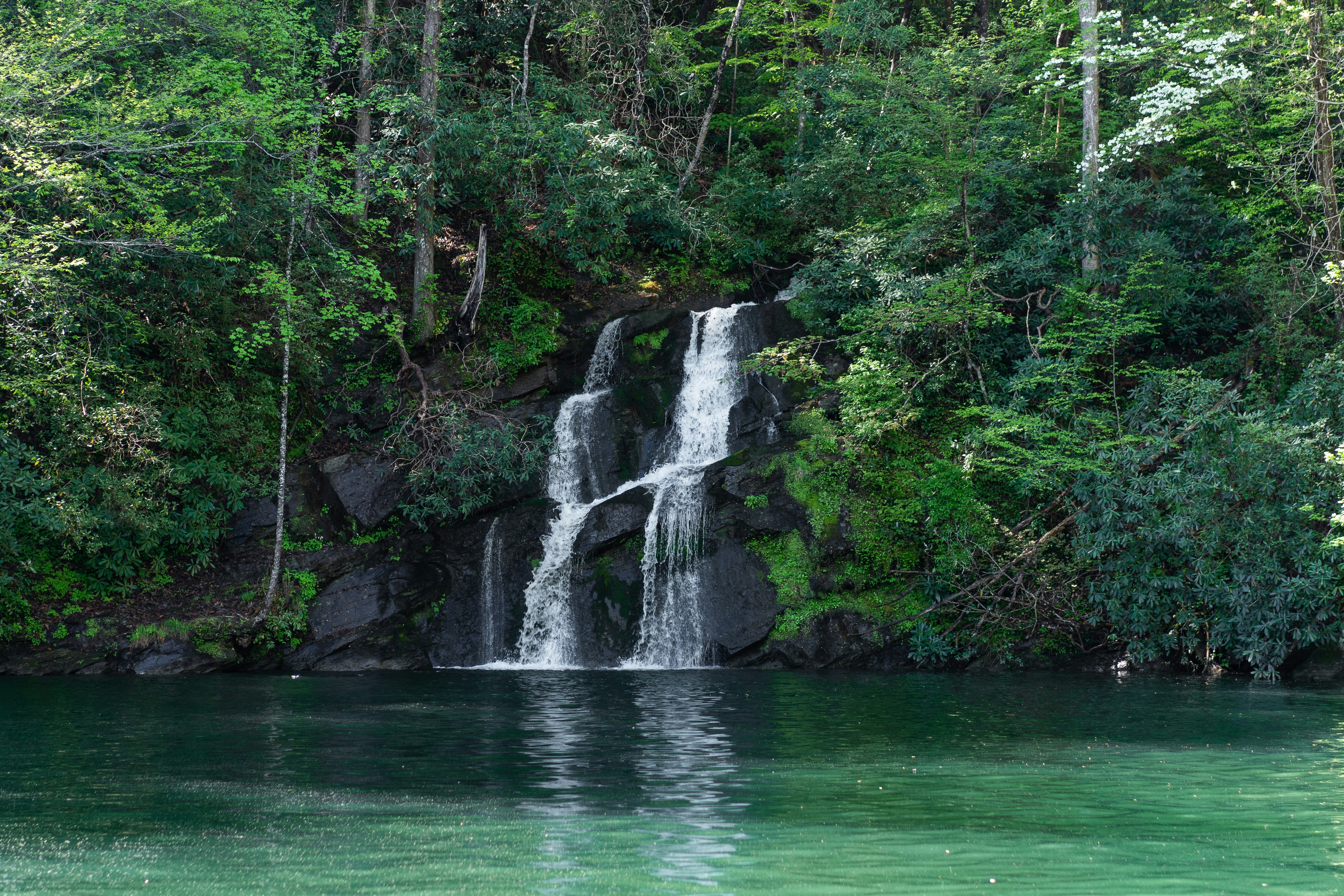 Photo by thebradleygossett