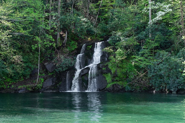 A small cascading waterfall nestled within a lush, green forest. The water flows over dark rocks into a serene green pool below, surrounded by dense foliage and tall trees.