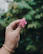 Close-up of a hand holding a delicate floral bracelet against a backdrop of wildflowers.
