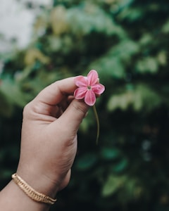 Rose Gold Bracelet