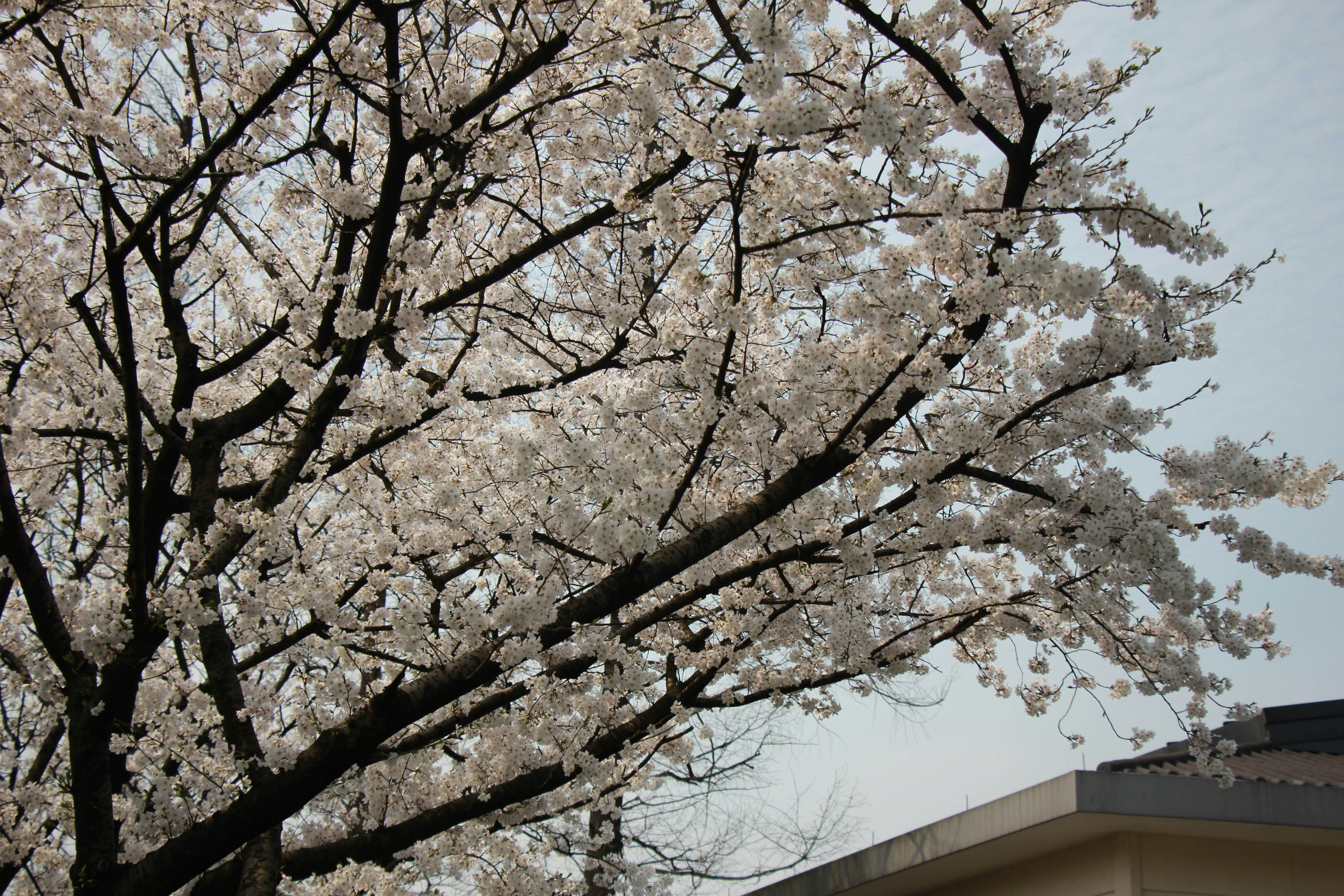 Photo by nefelibataniska