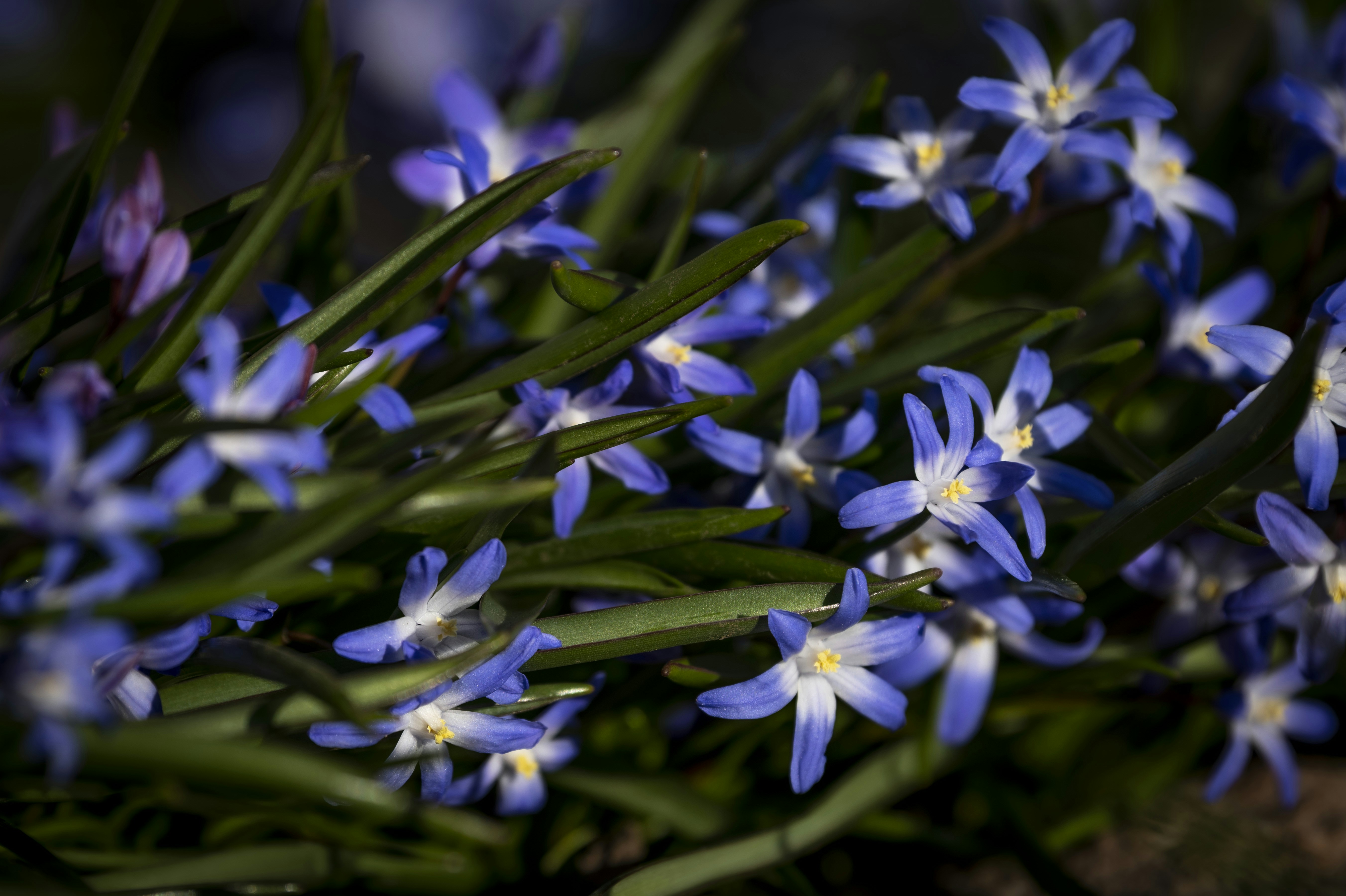 Photo by jonmsailer