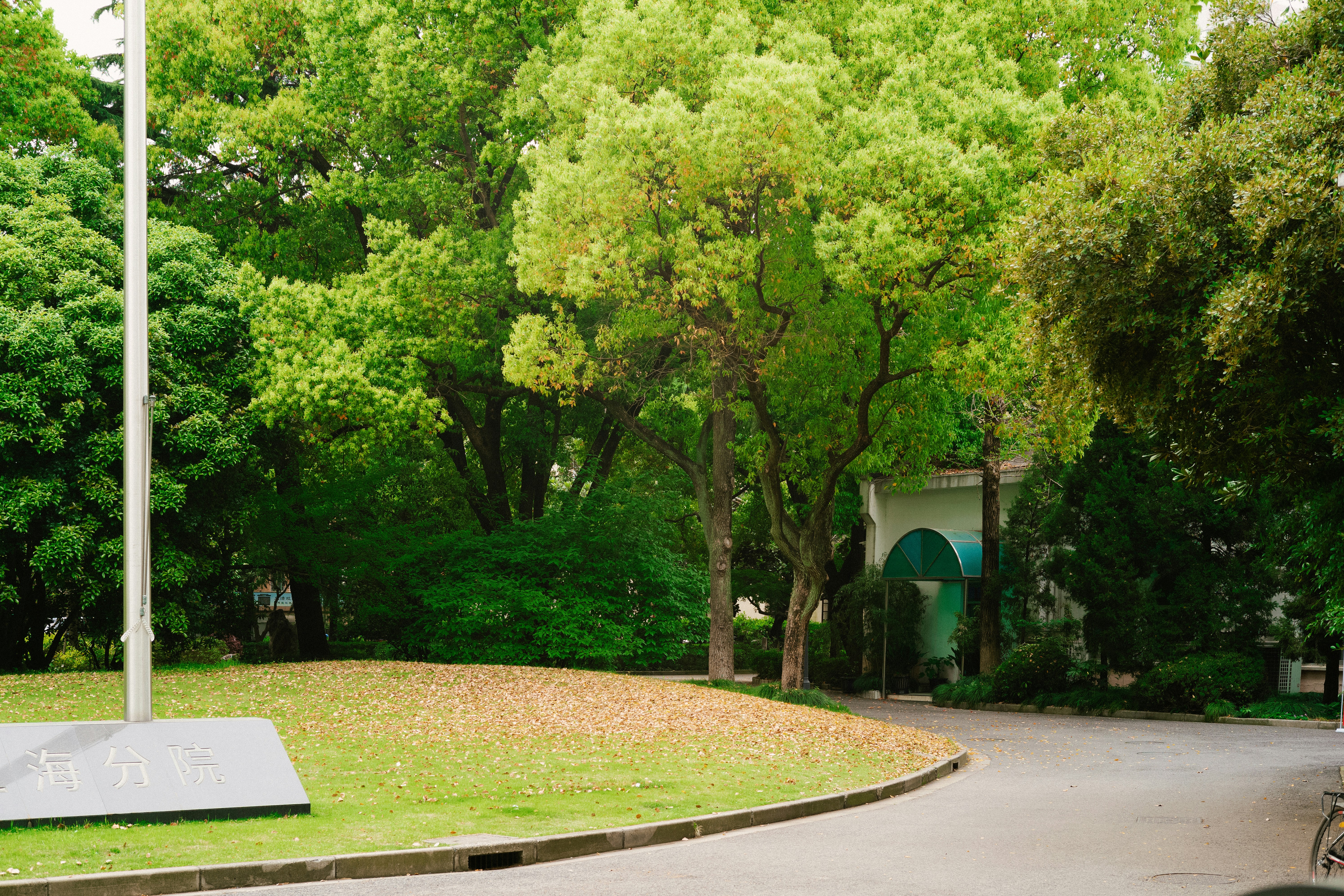 Photo by tommaomaoer