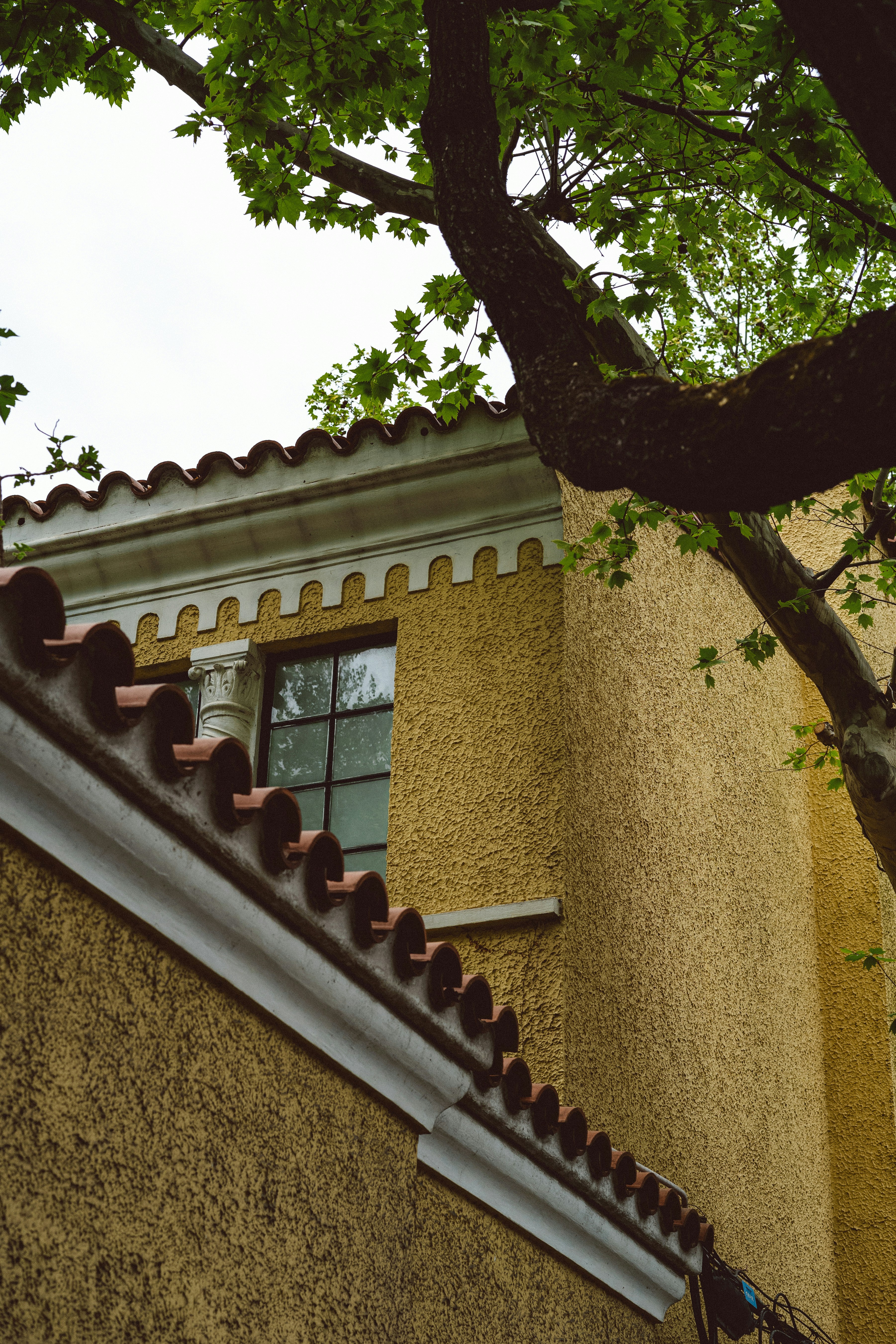 Photo by tommaomaoer